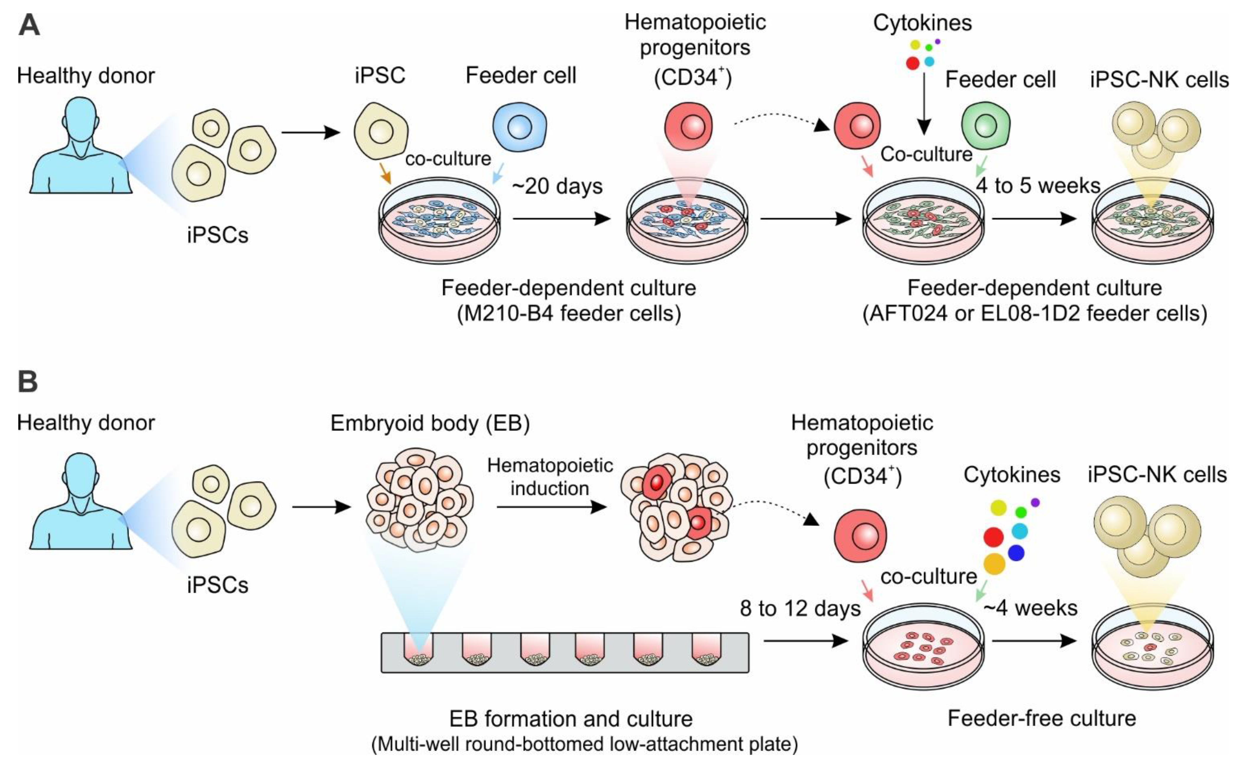 Cancers 14 02266 g003 550
