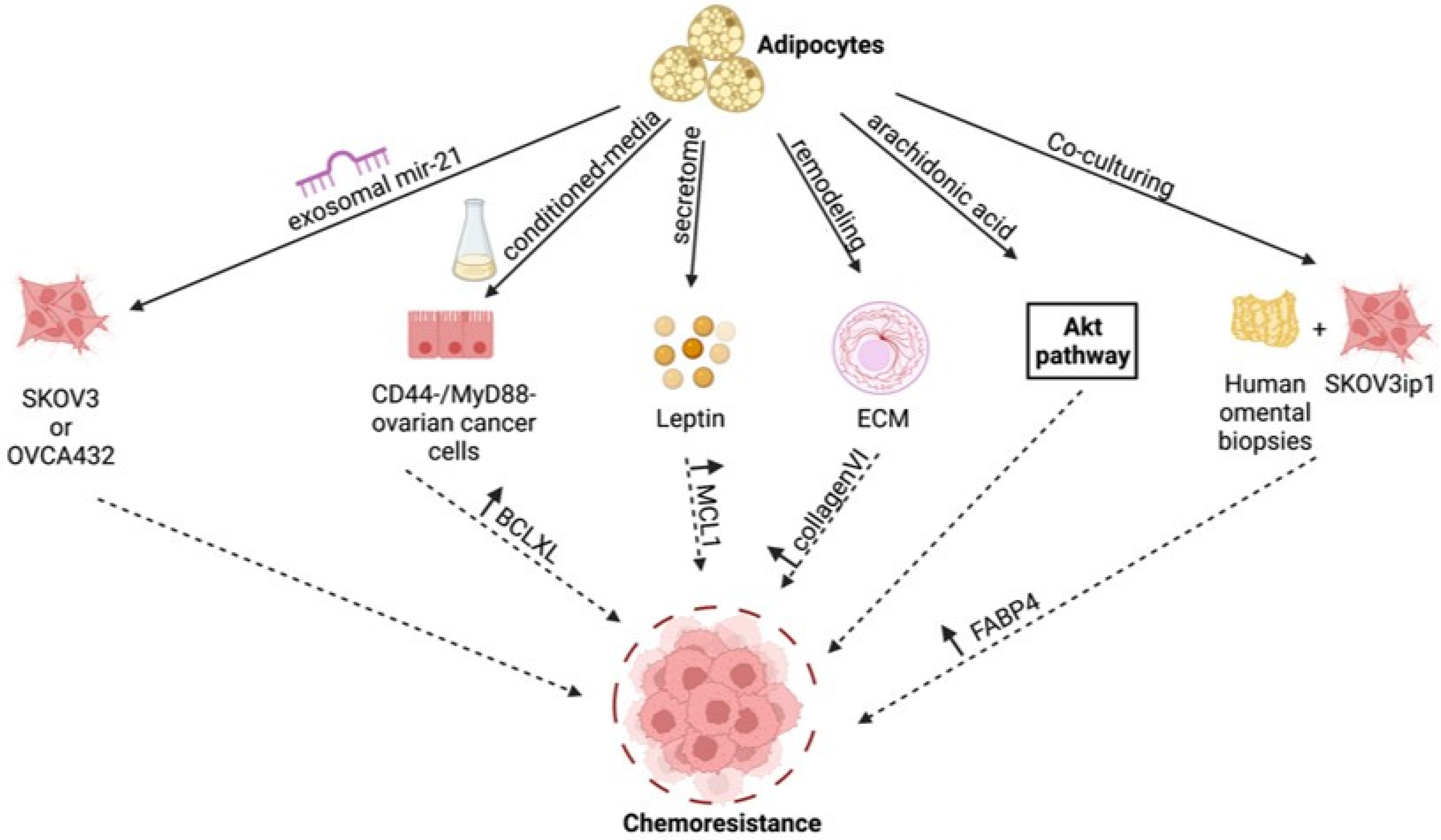 Cancers 14 02267 g001 Cancers 14 02267 g001