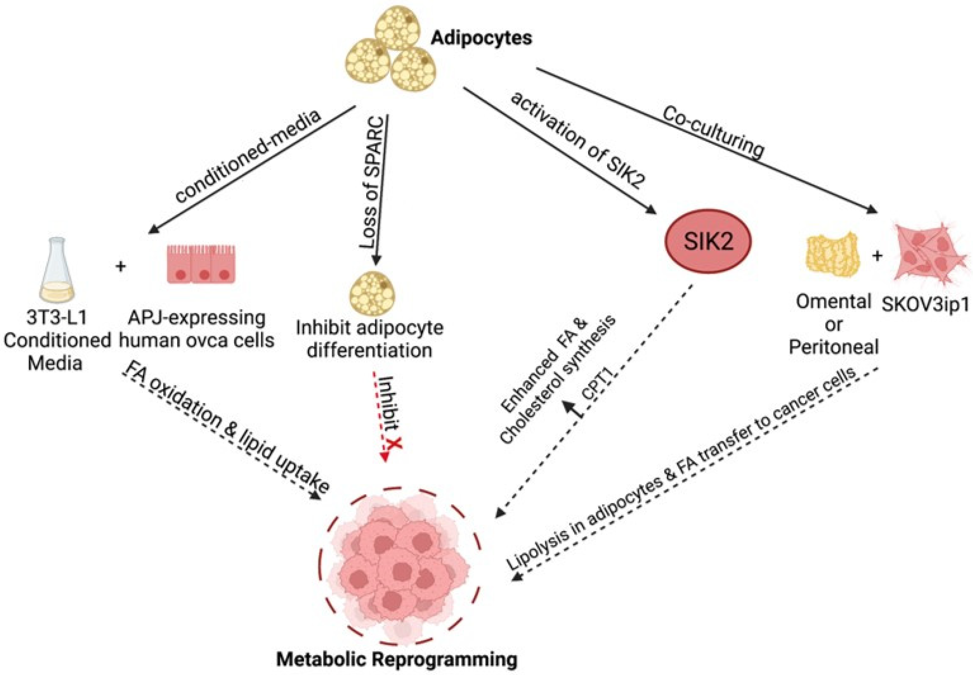 Cancers 14 02267 g003 Cancers 14 02267 g003