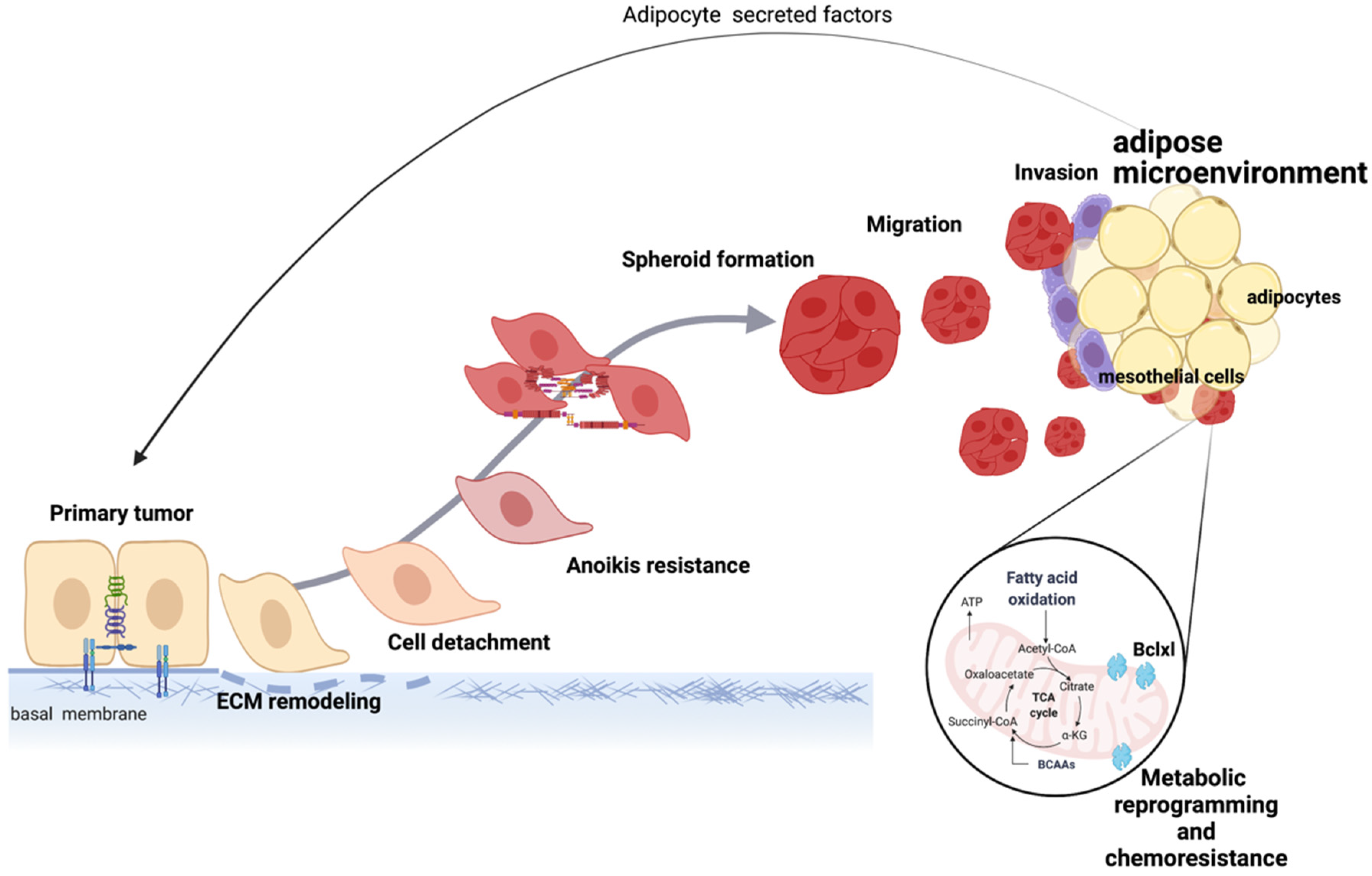 Cancers 14 02267 g004 Cancers 14 02267 g004