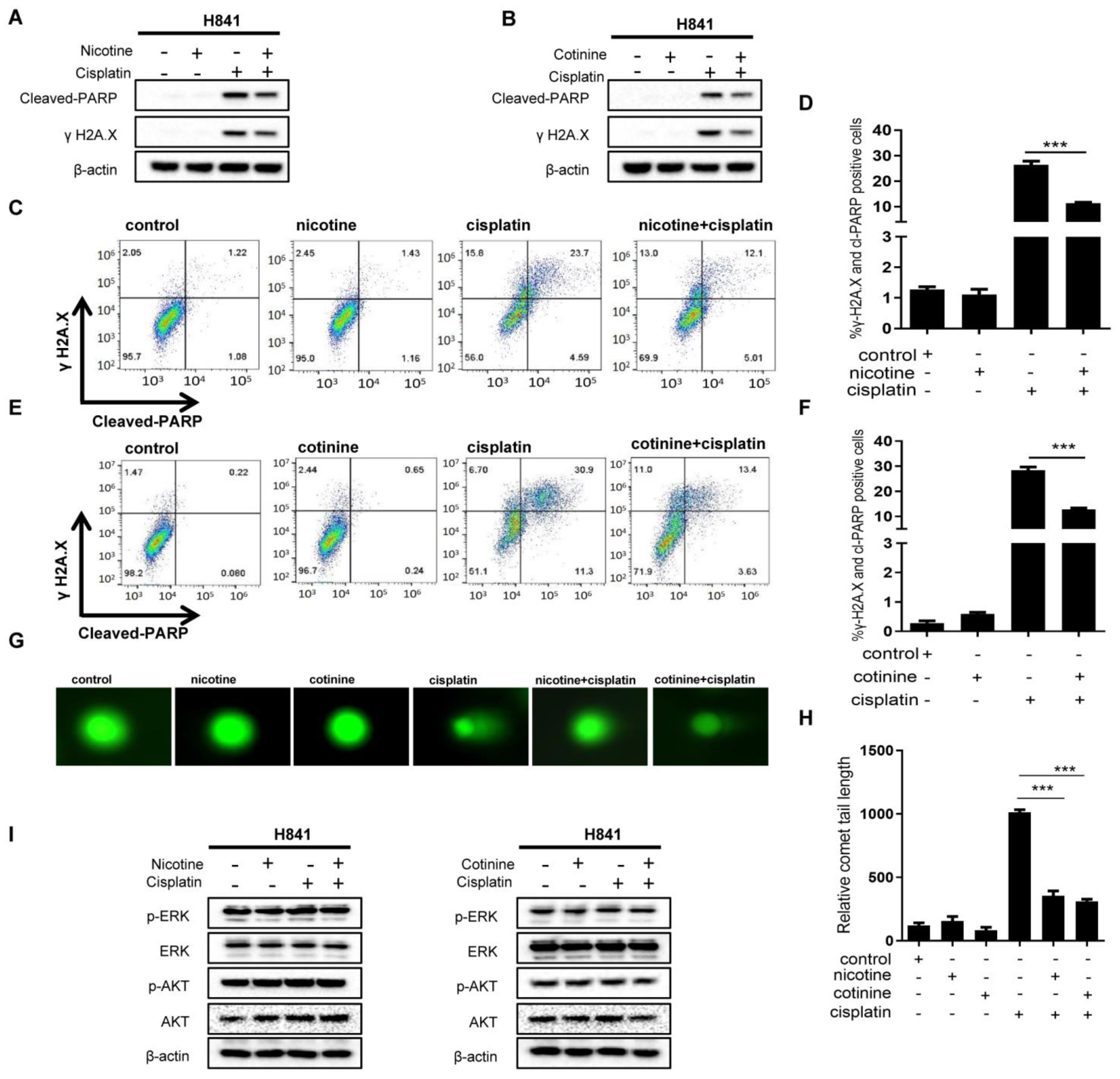 Cancers 14 02272 g003