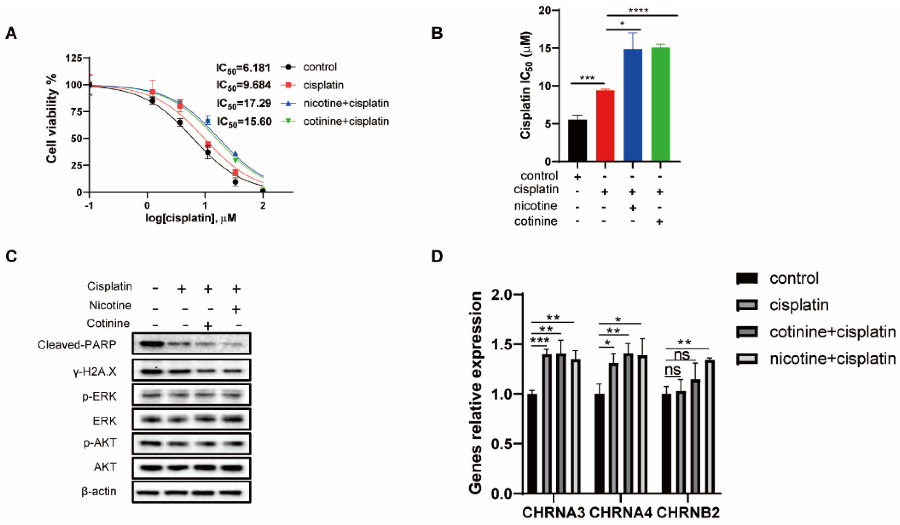 Cancers 14 02272 g006
