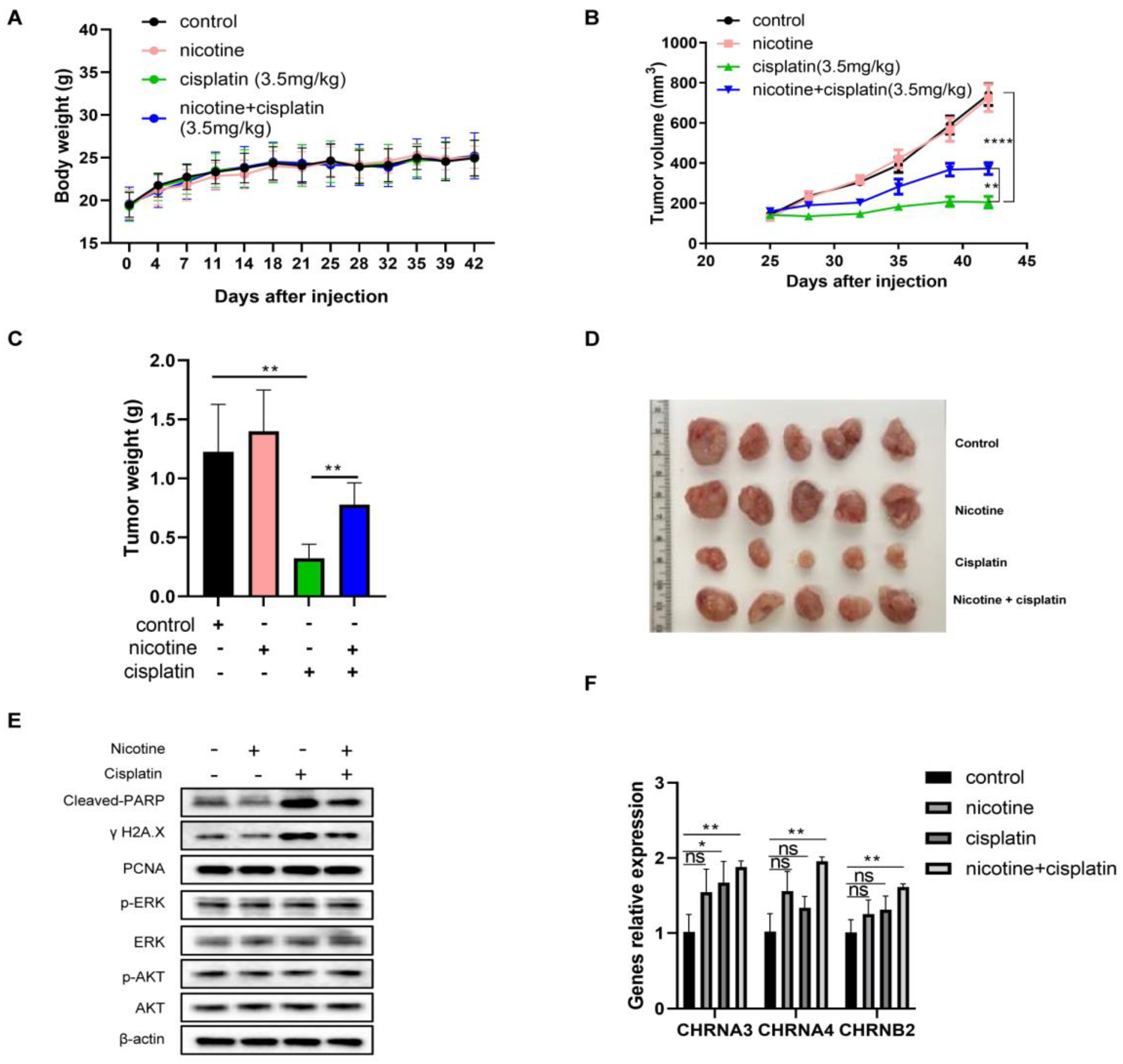 Cancers 14 02272 g007