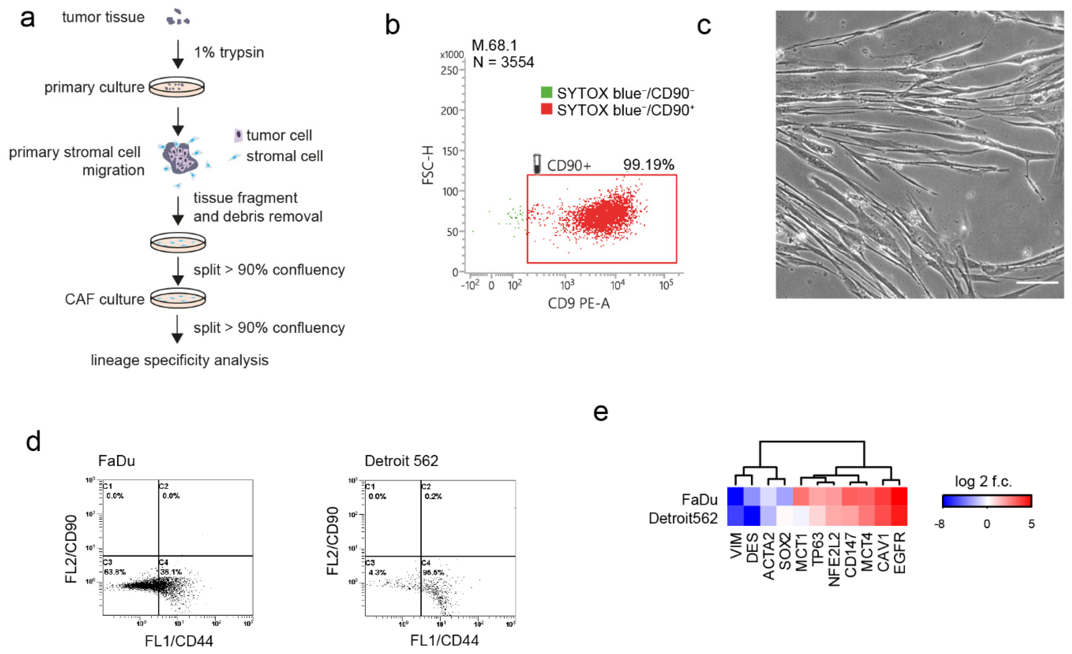 Cancers 14 02286 g001