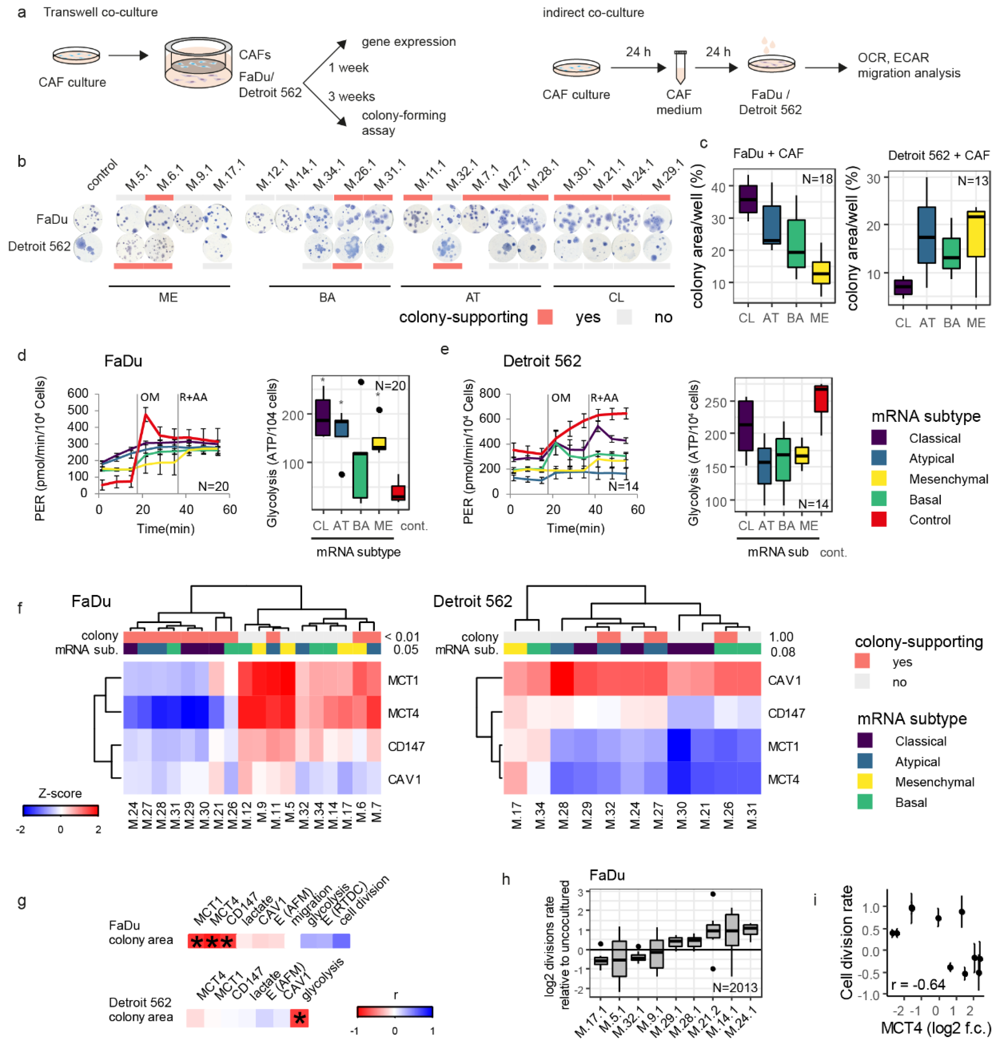 Cancers 14 02286 g002
