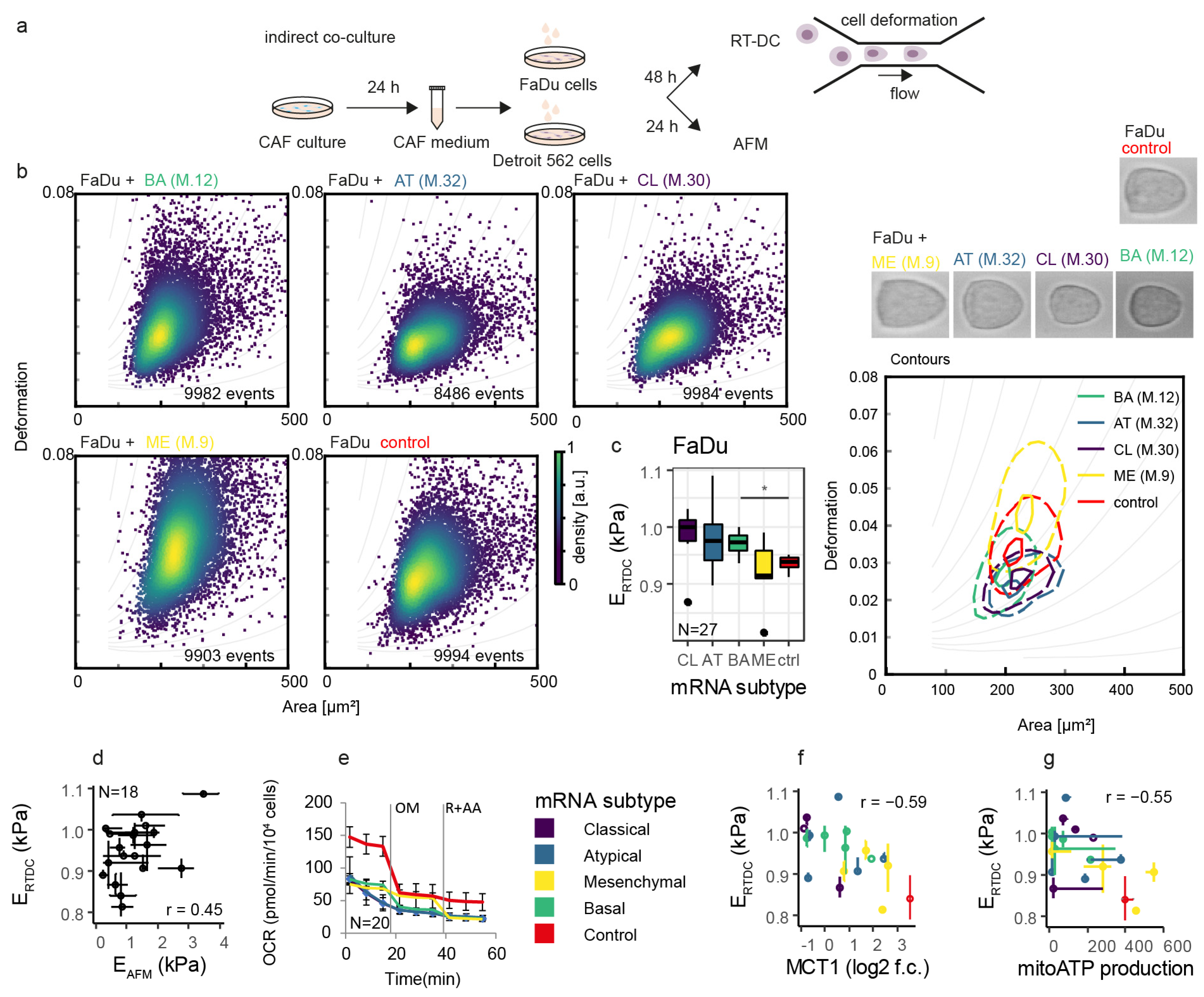 Cancers 14 02286 g003