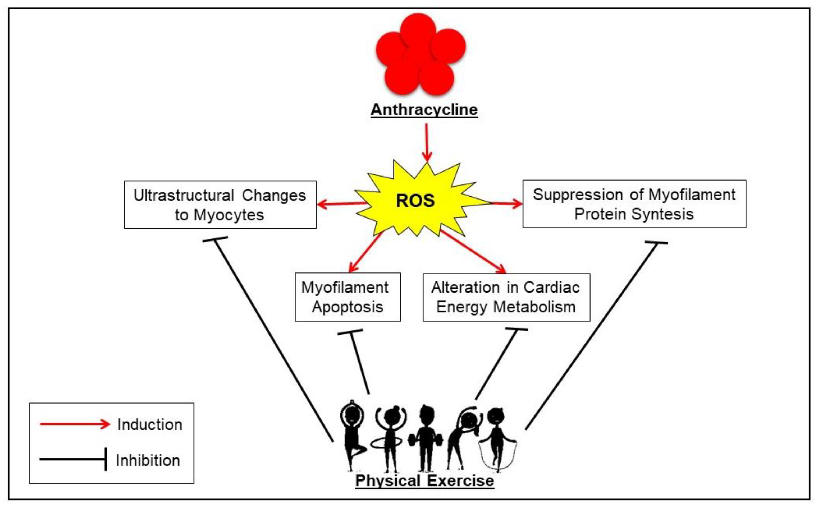 Cancers 14 02288 g002