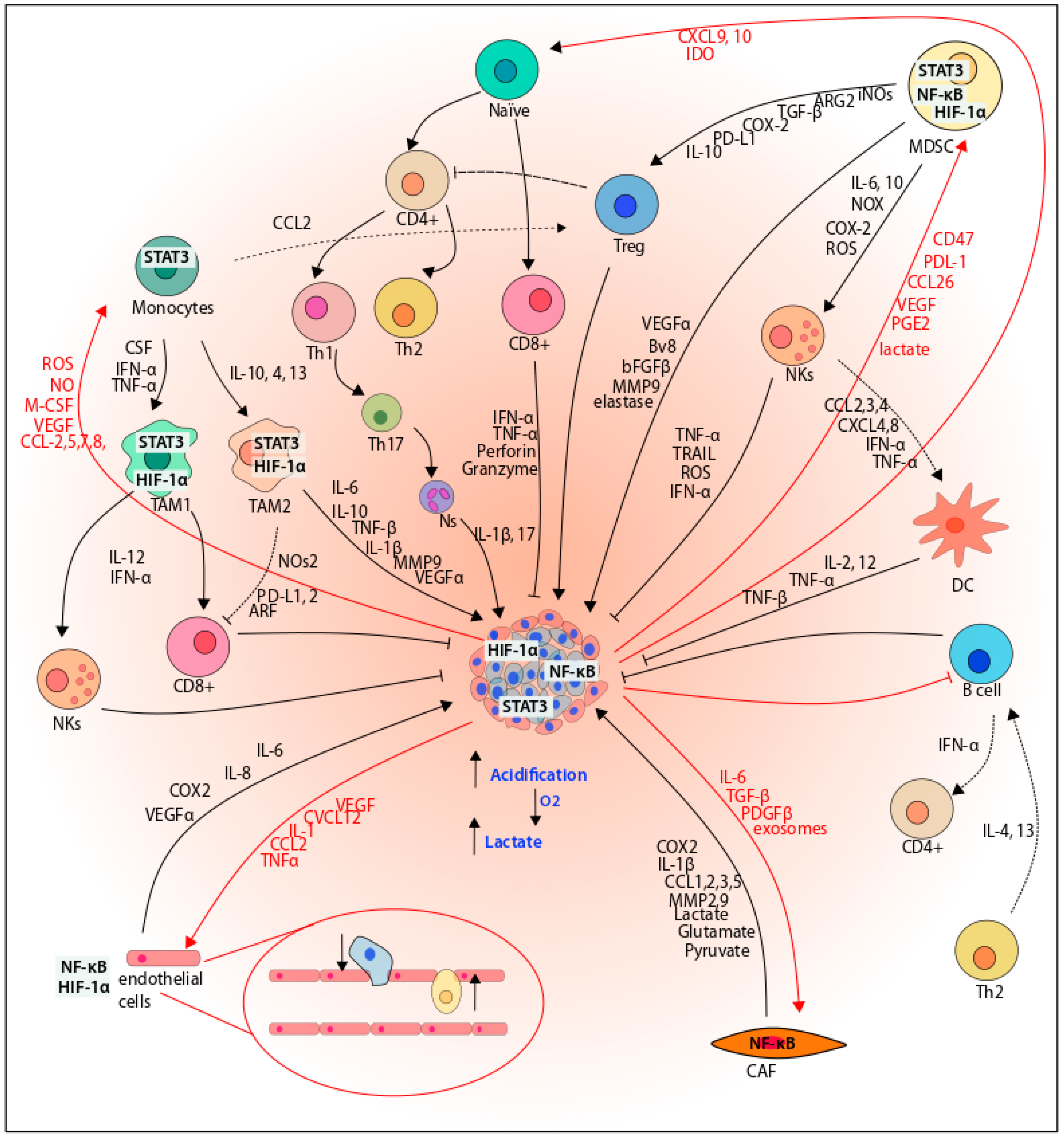 Cancers 14 02291 g006