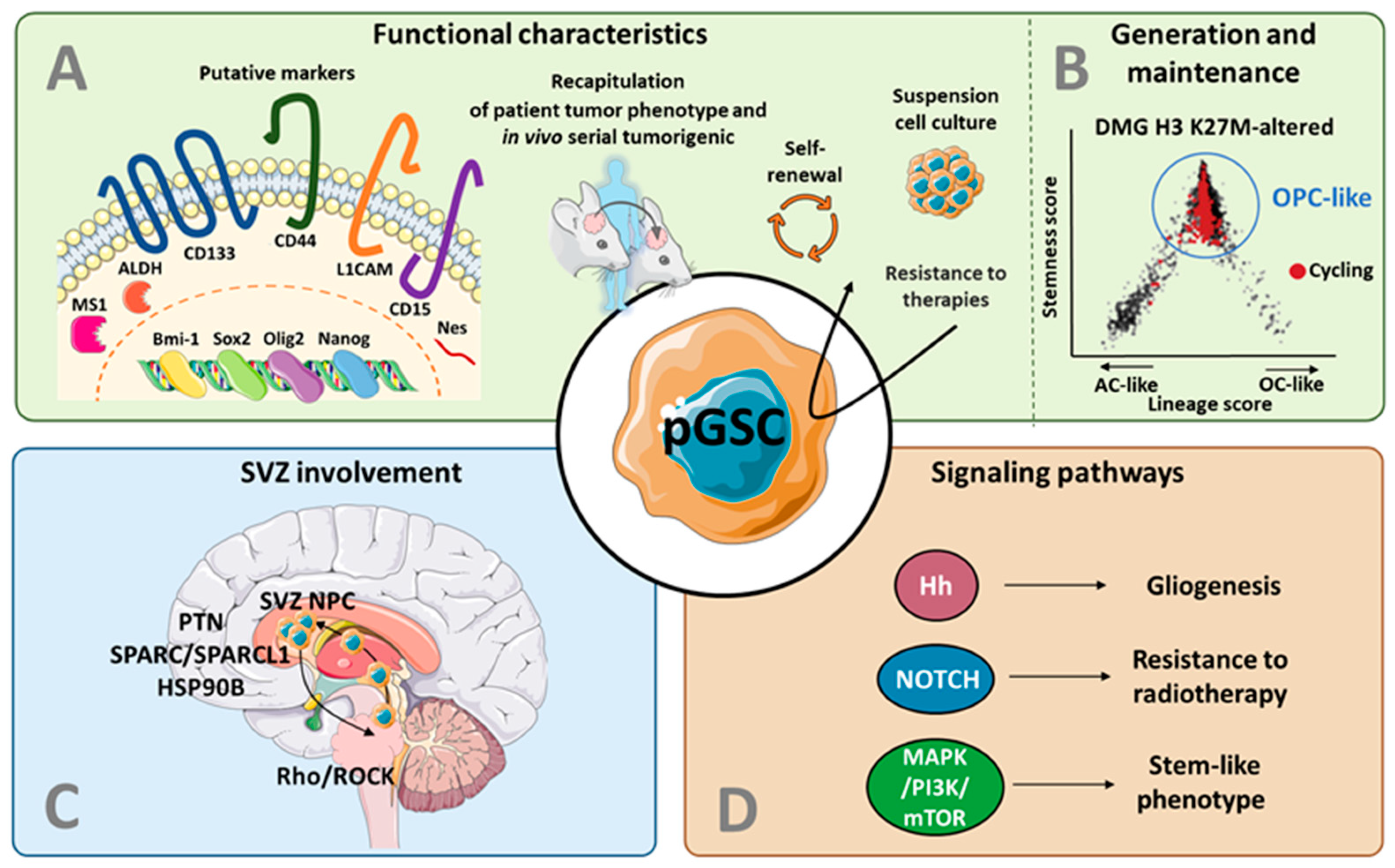 Cancers 14 02296 g002 Cancers 14 02296 g002