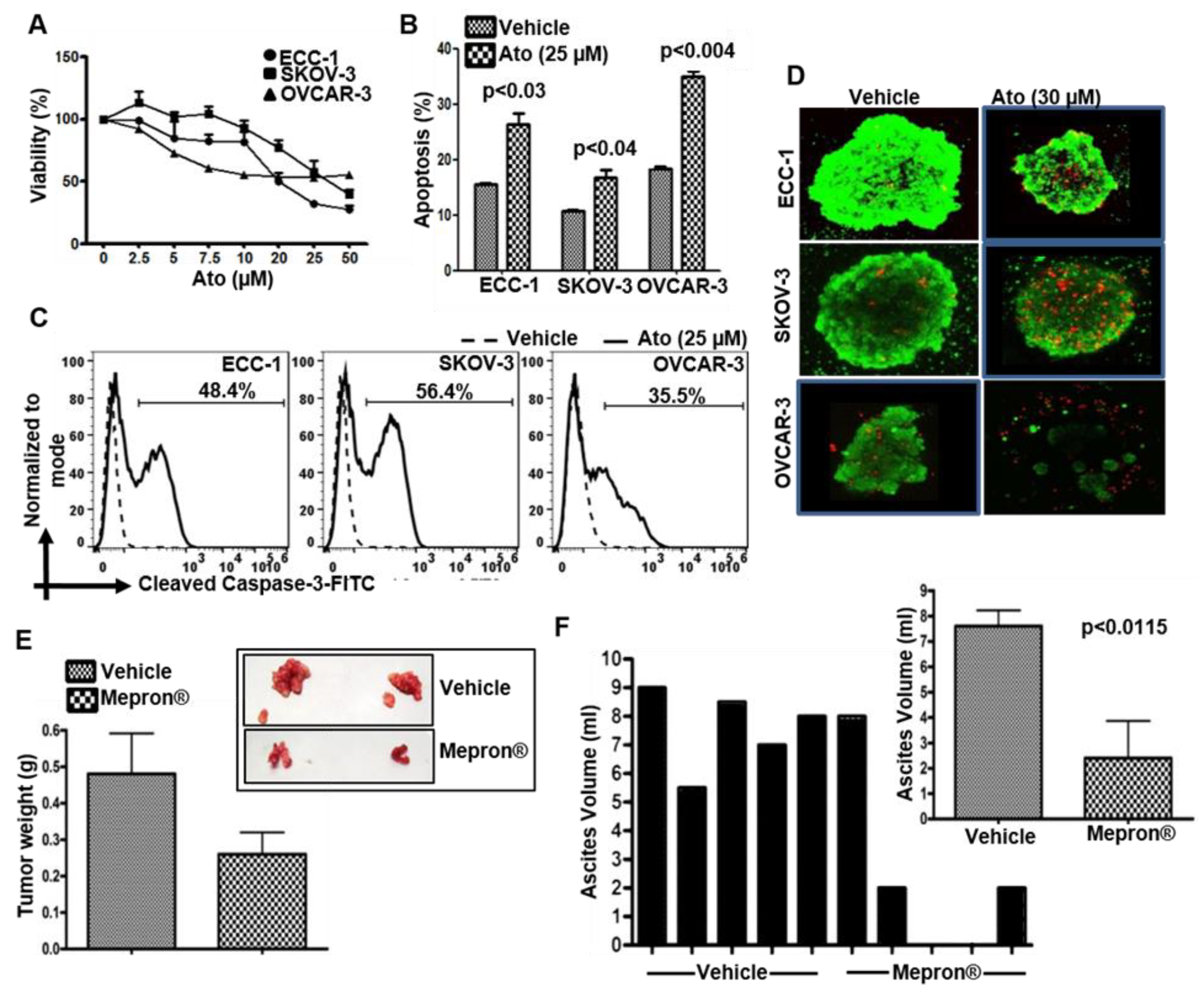 Cancers 14 02297 g001 550