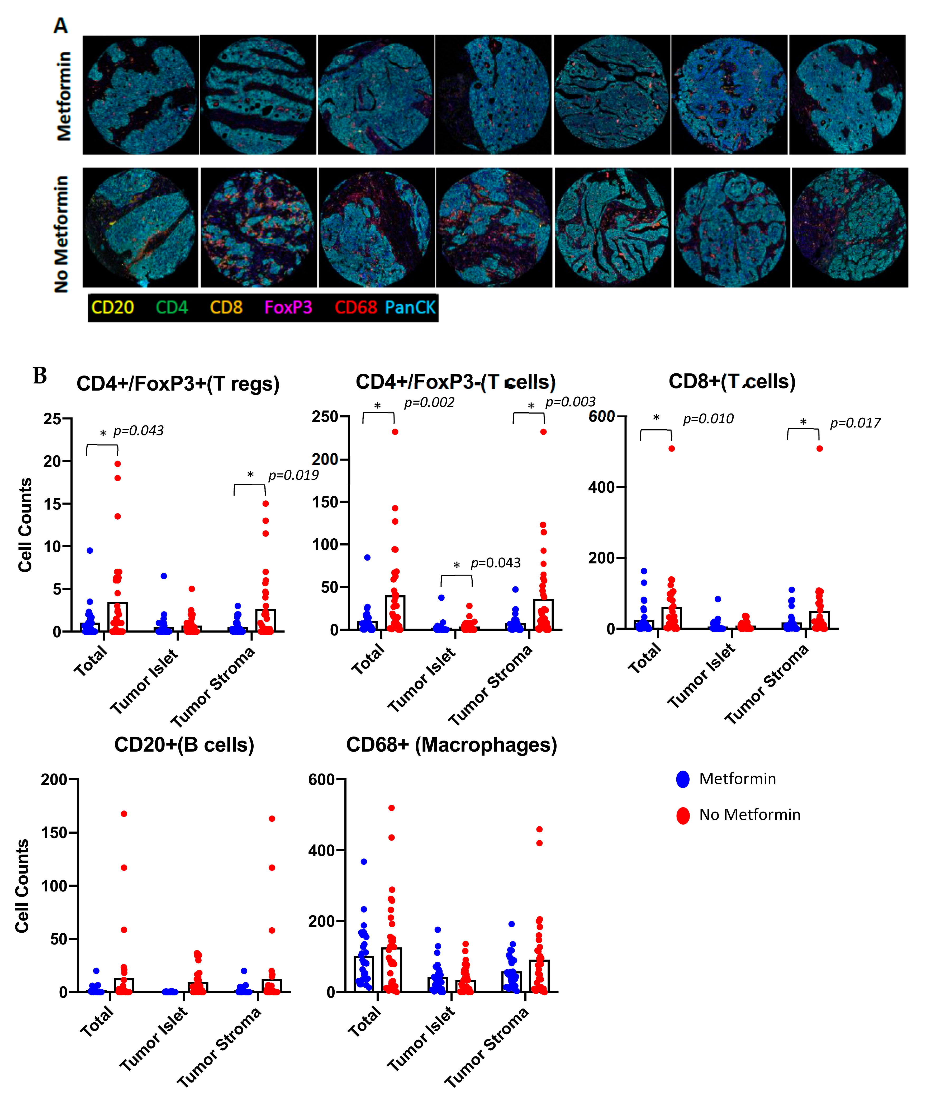 Cancers 14 02298 g003