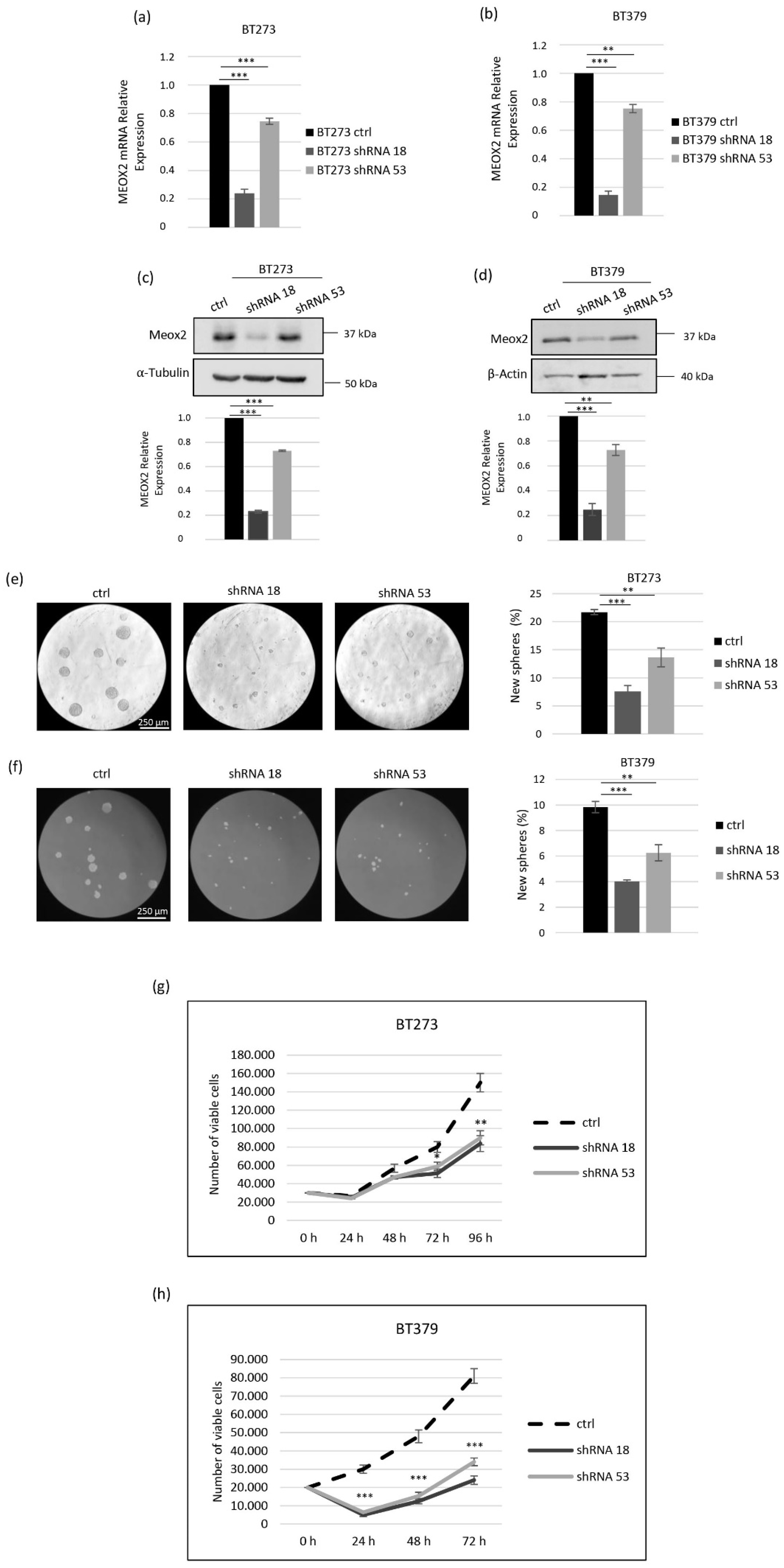 Cancers 14 02304 g001