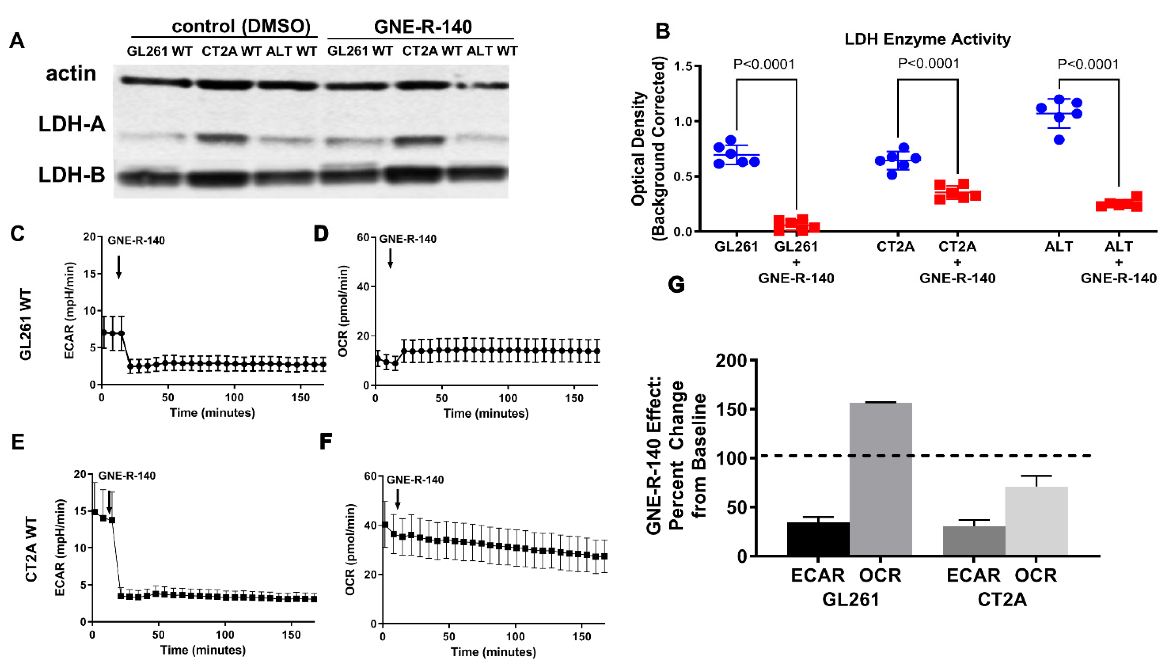 Cancers 14 02306 g006 550