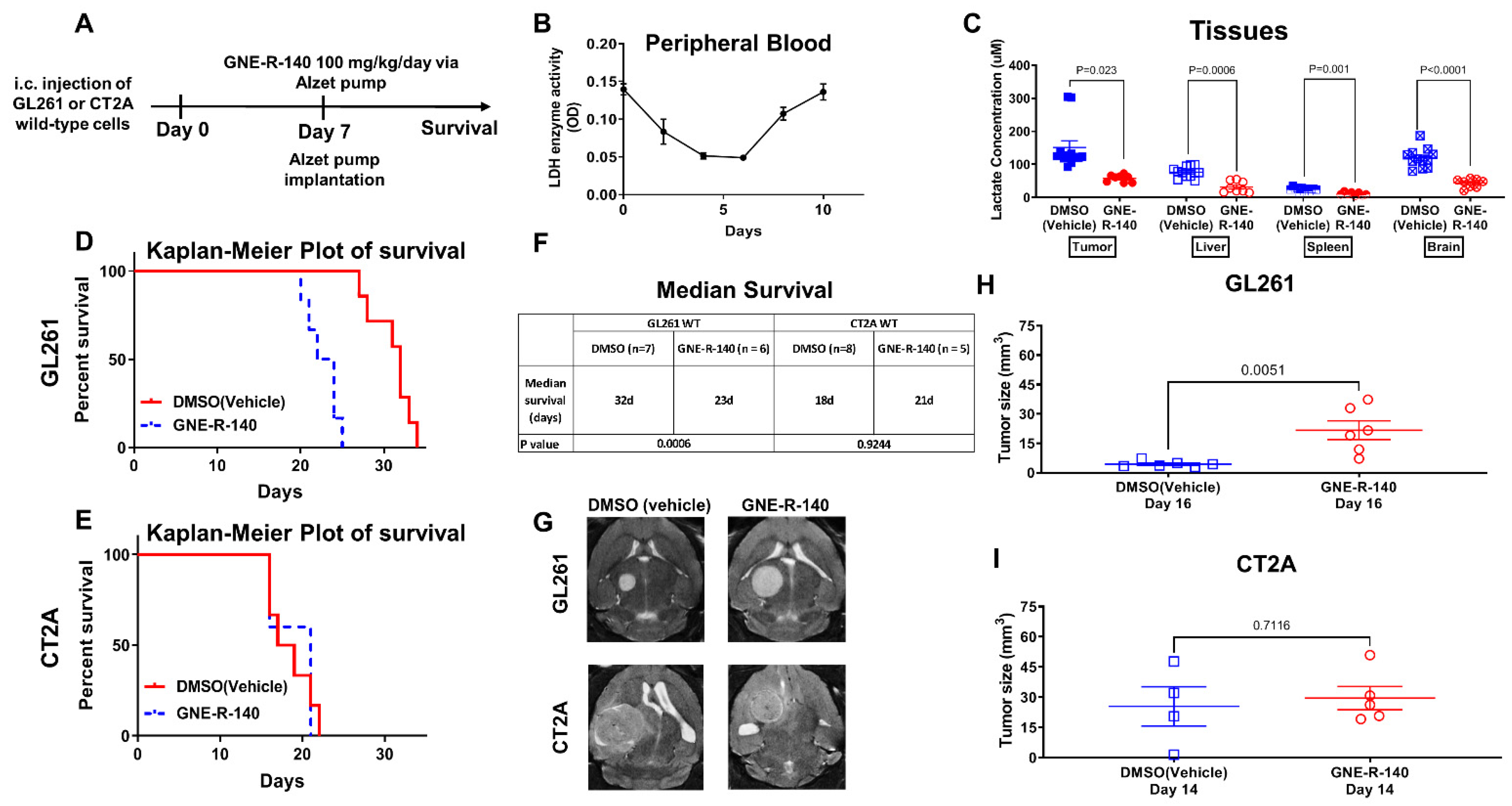 Cancers 14 02306 g007 550