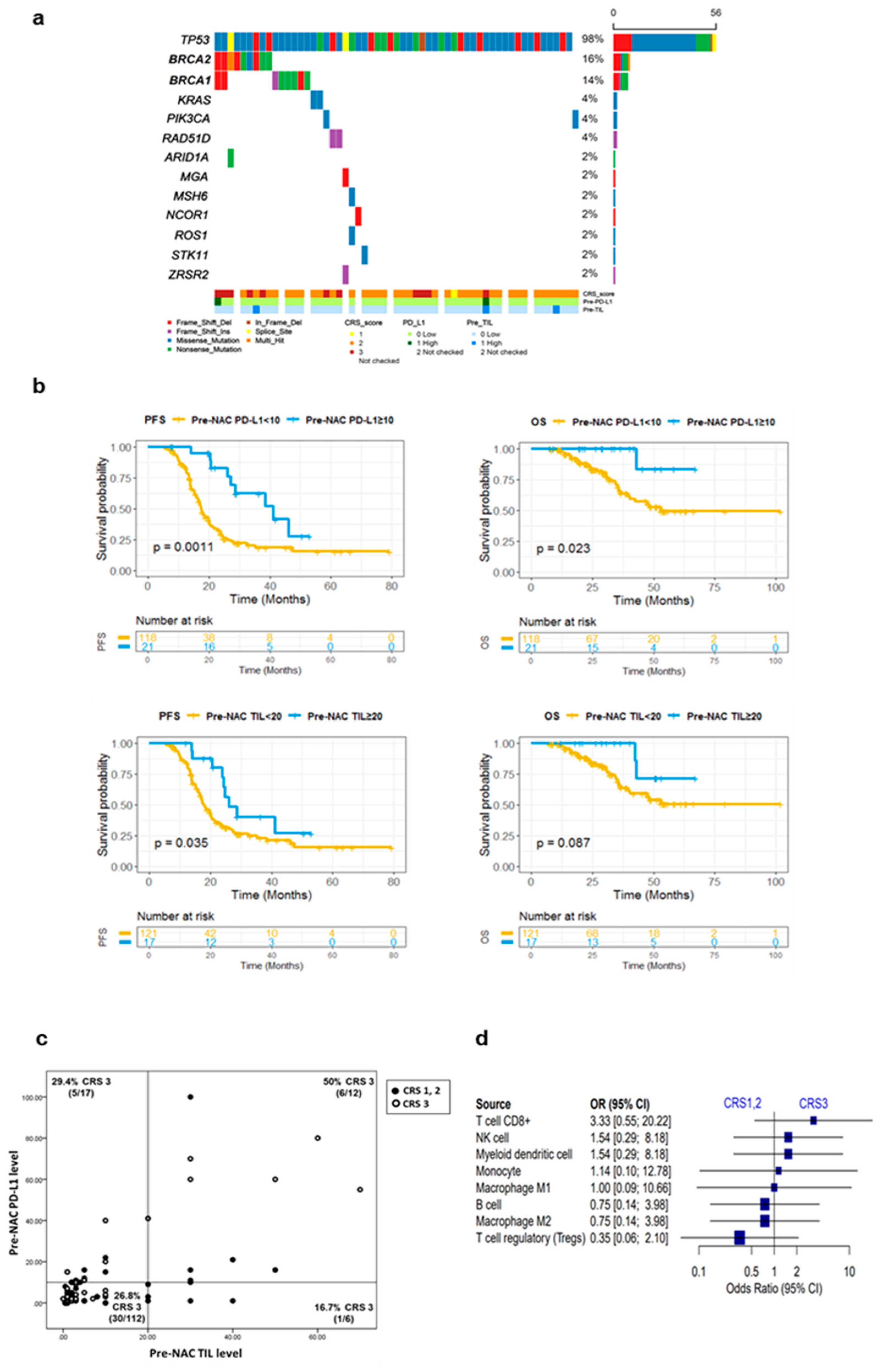 Cancers 14 02308 g002