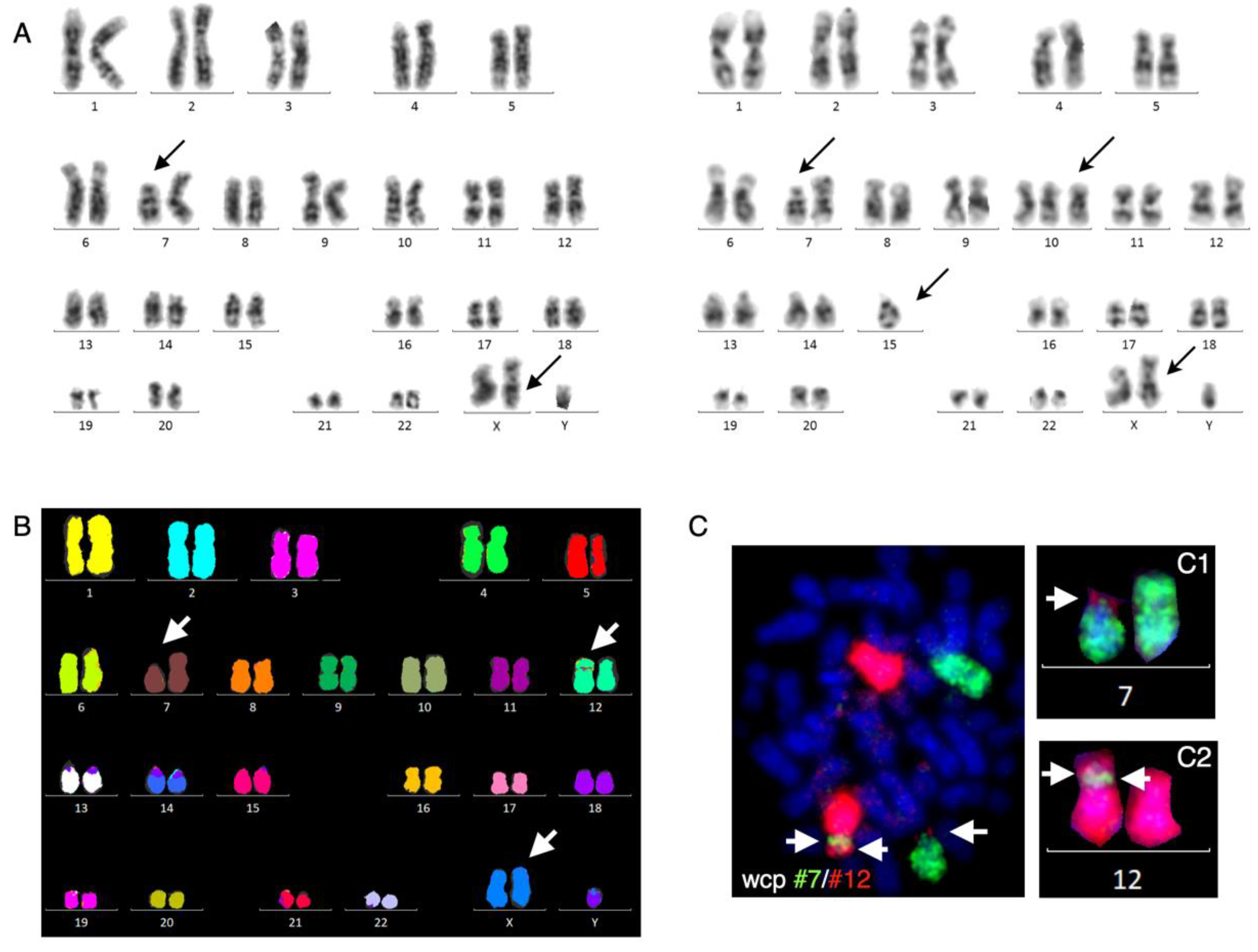 Cancers 14 02316 g001