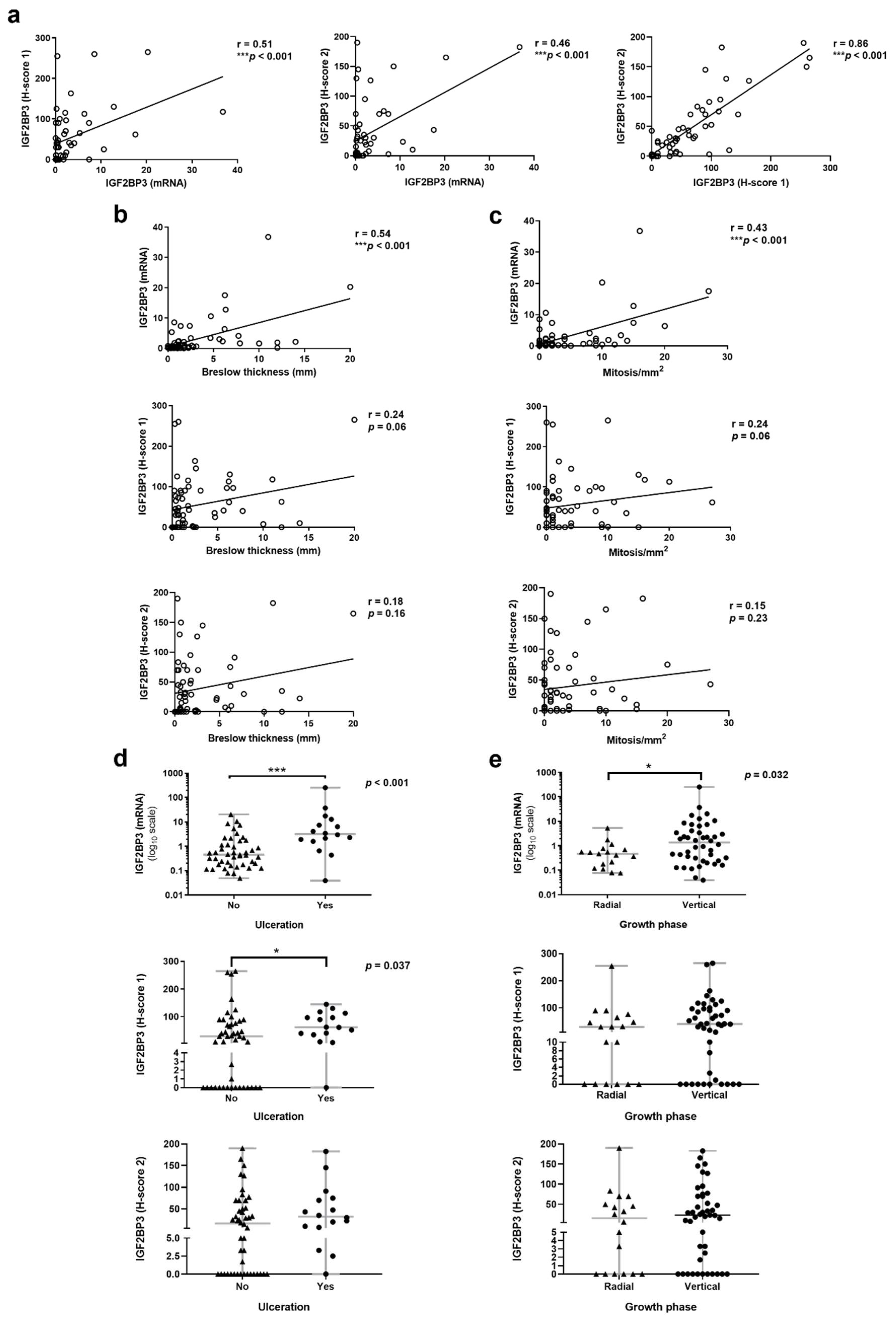 Cancers 14 02319 g001
