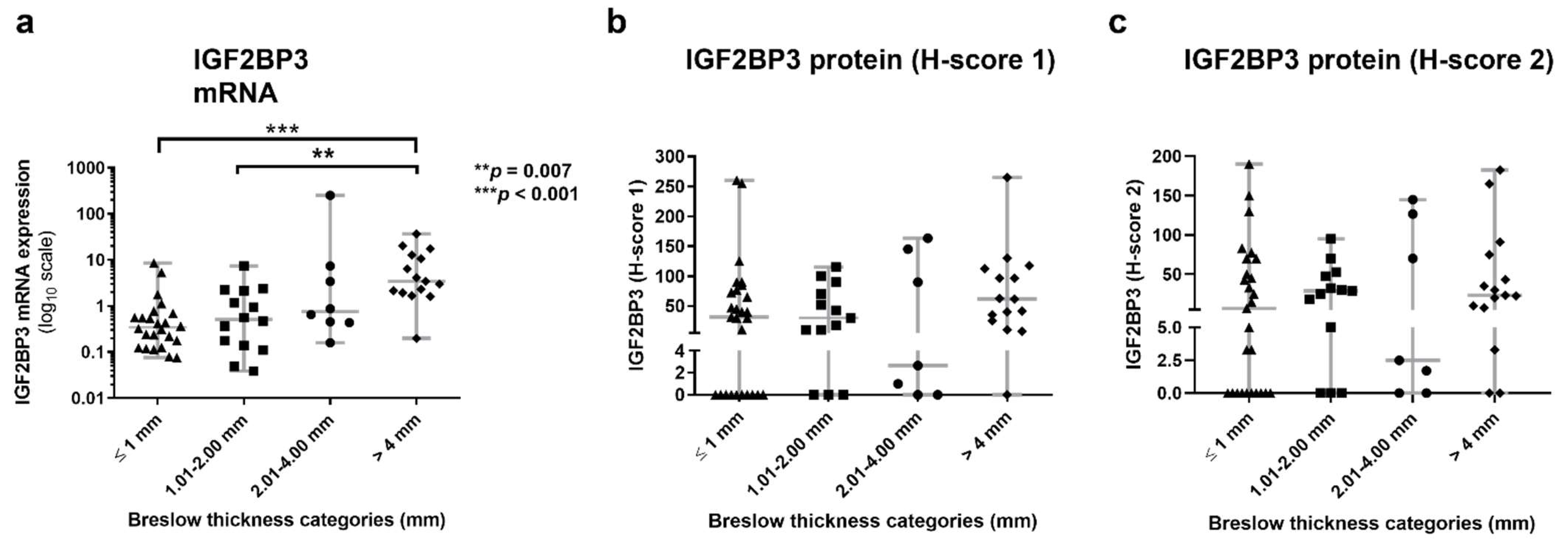 Cancers 14 02319 g002