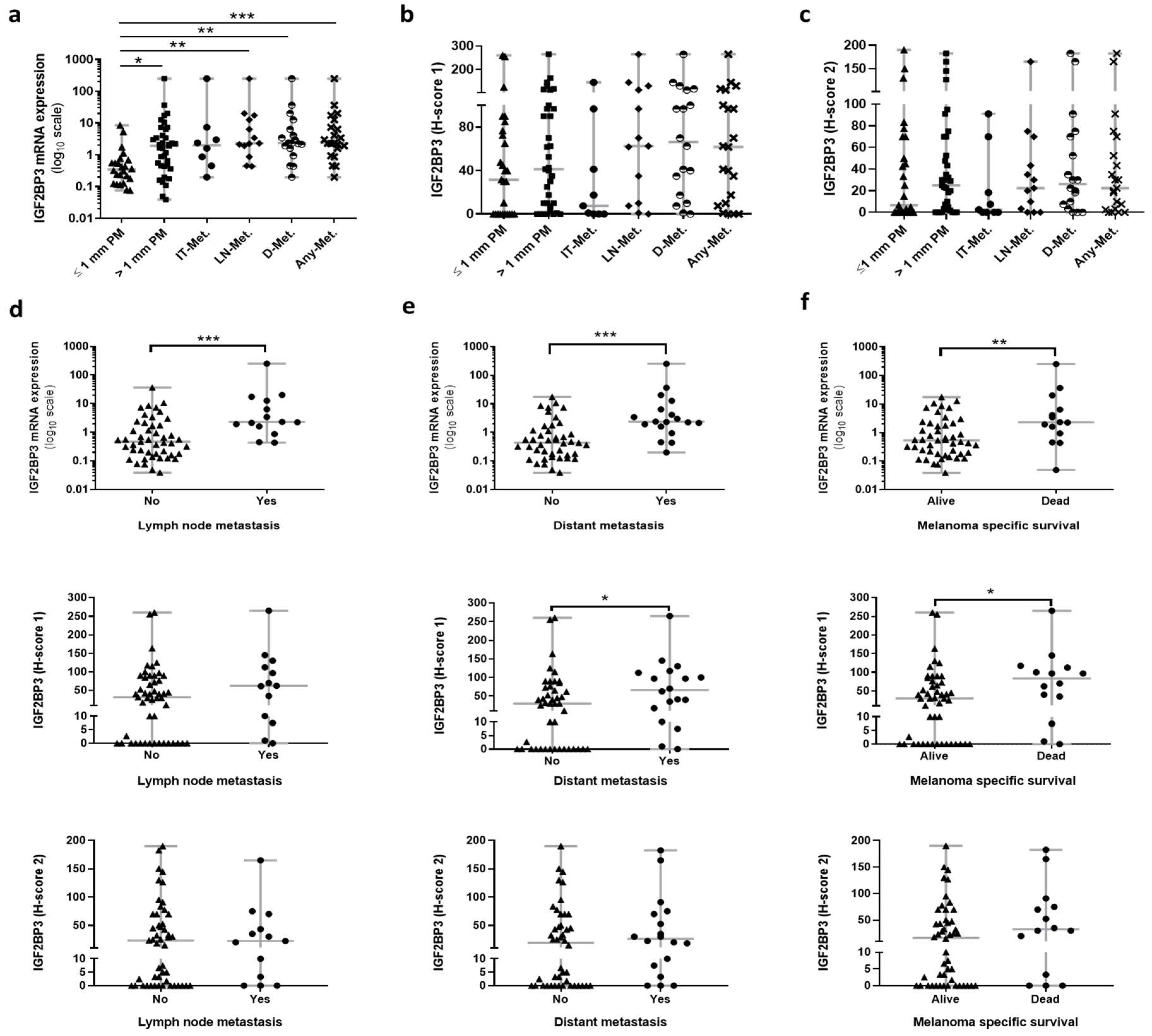 Cancers 14 02319 g003