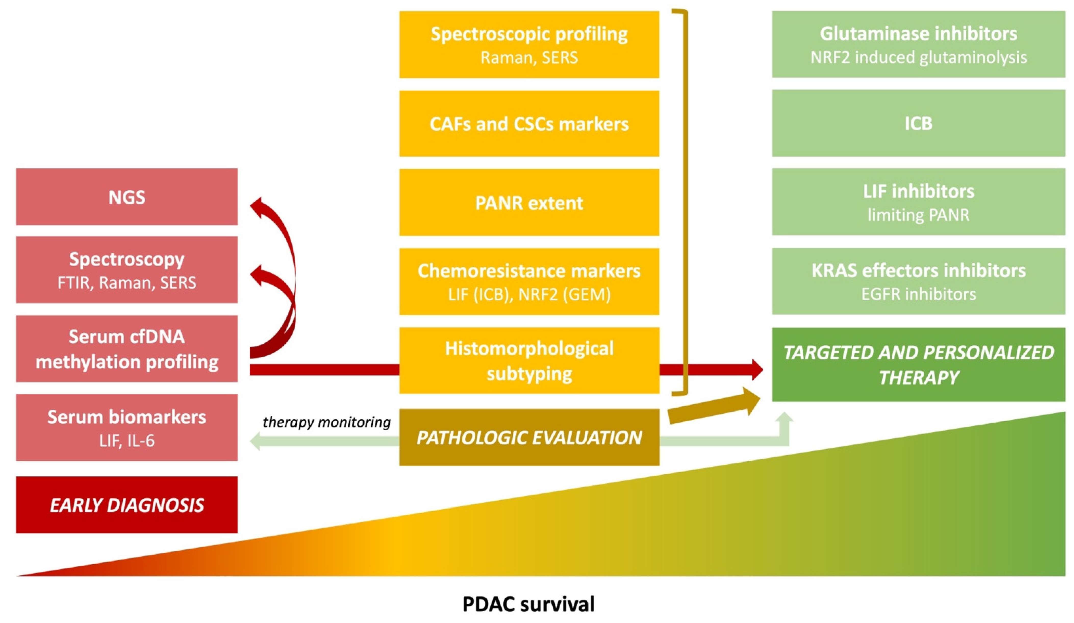 Cancers 14 02321 g001