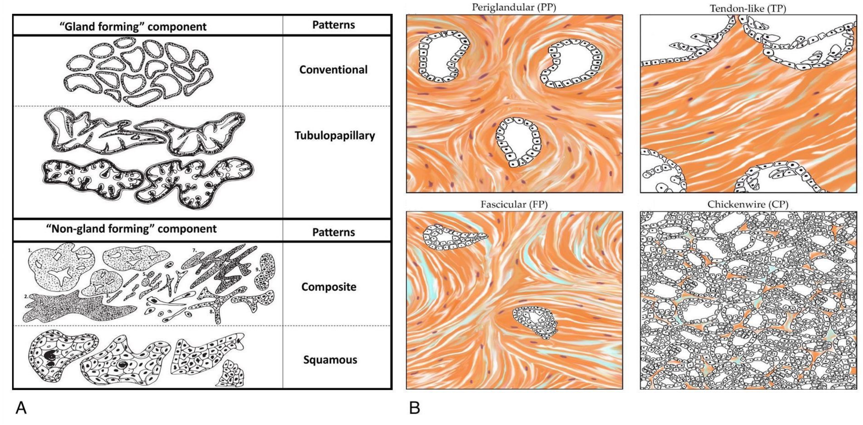 Cancers 14 02321 g003