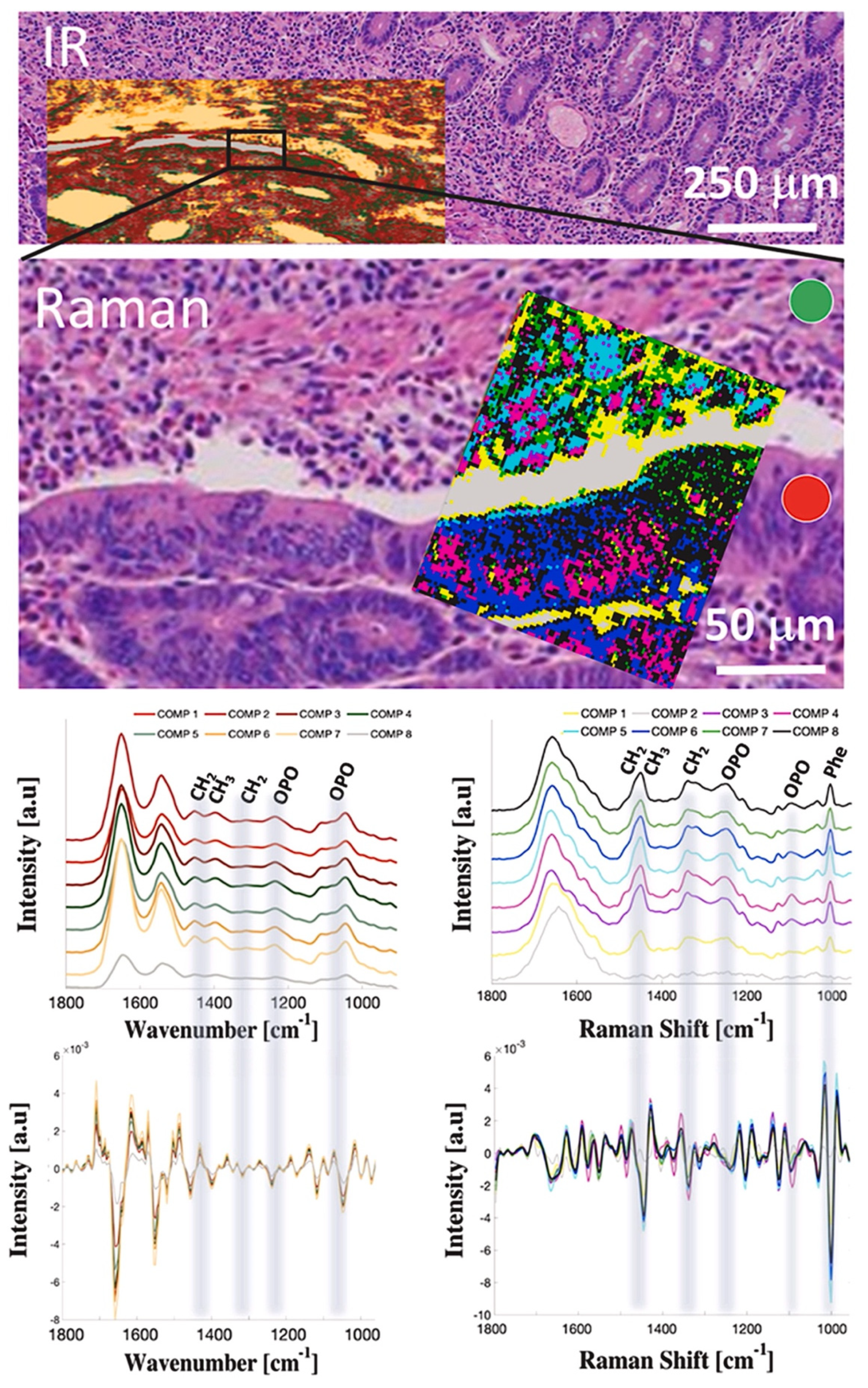 Cancers 14 02321 g005