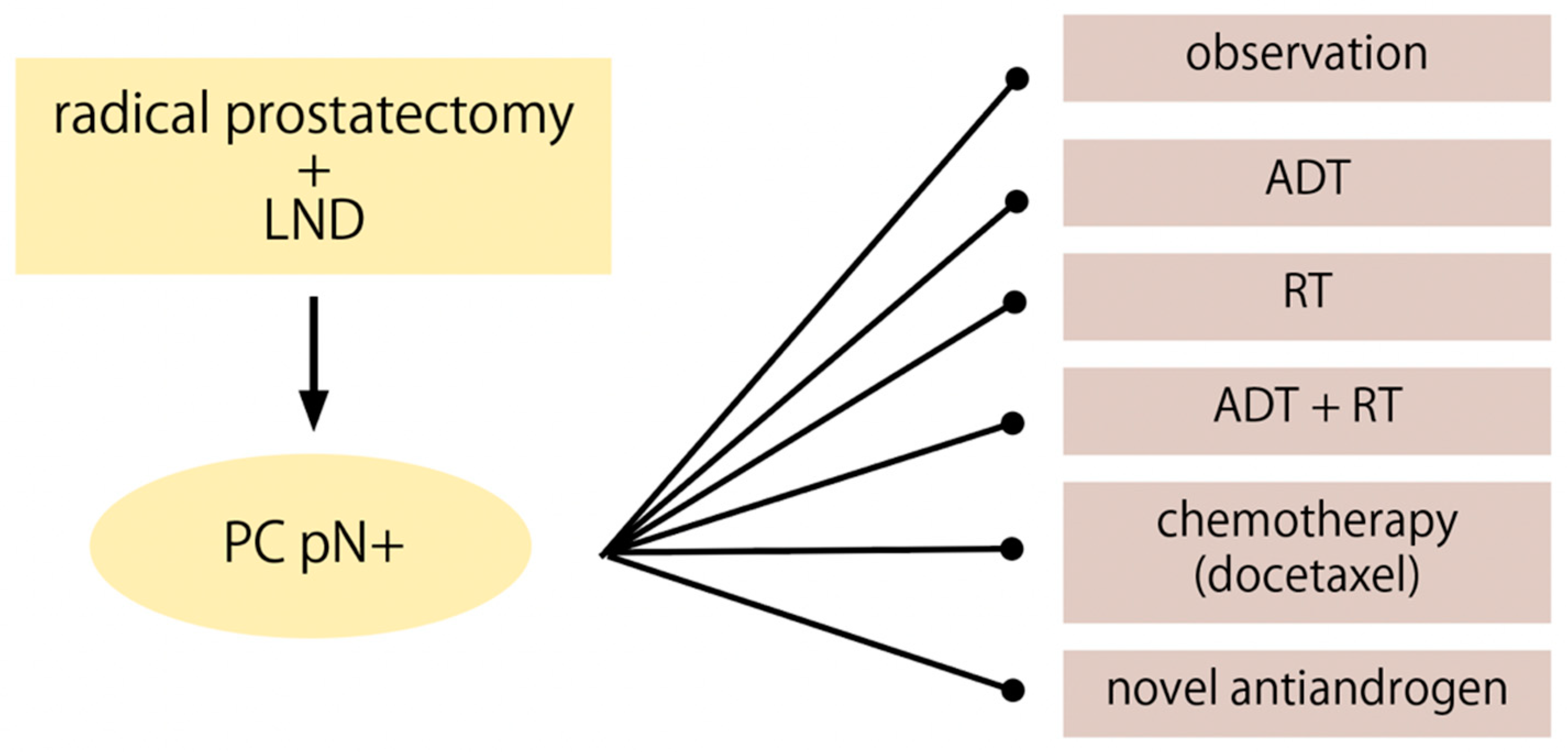 Cancers 14 02326 g002 550