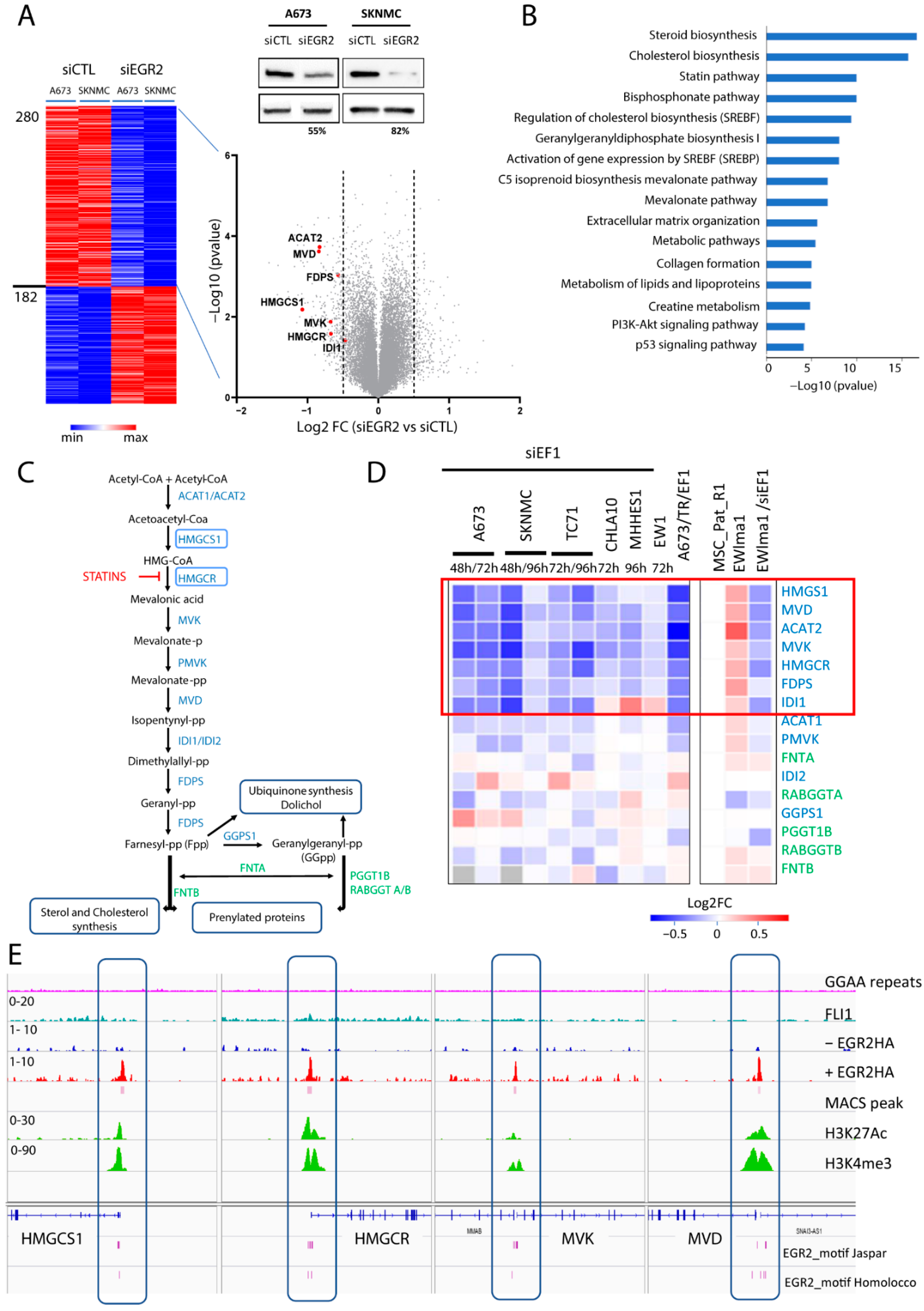 Cancers 14 02327 g001 550