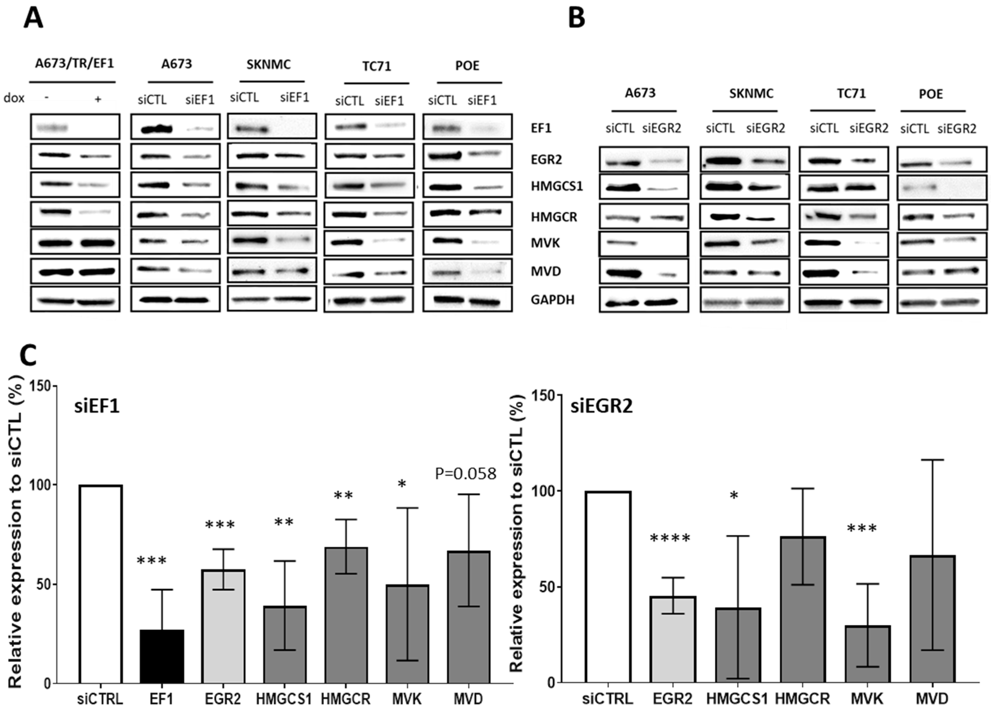 Cancers 14 02327 g002 550