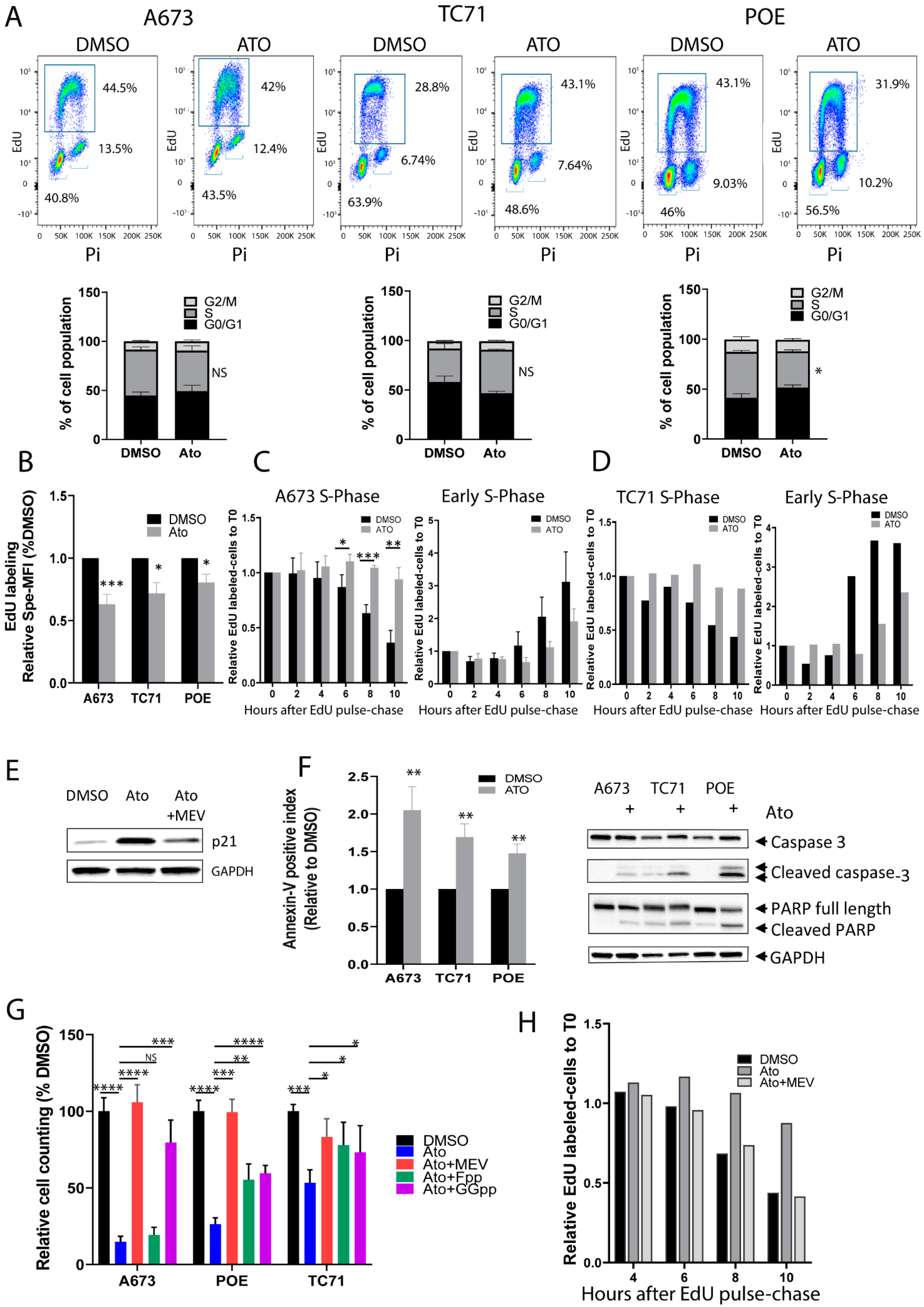 Cancers 14 02327 g004 550
