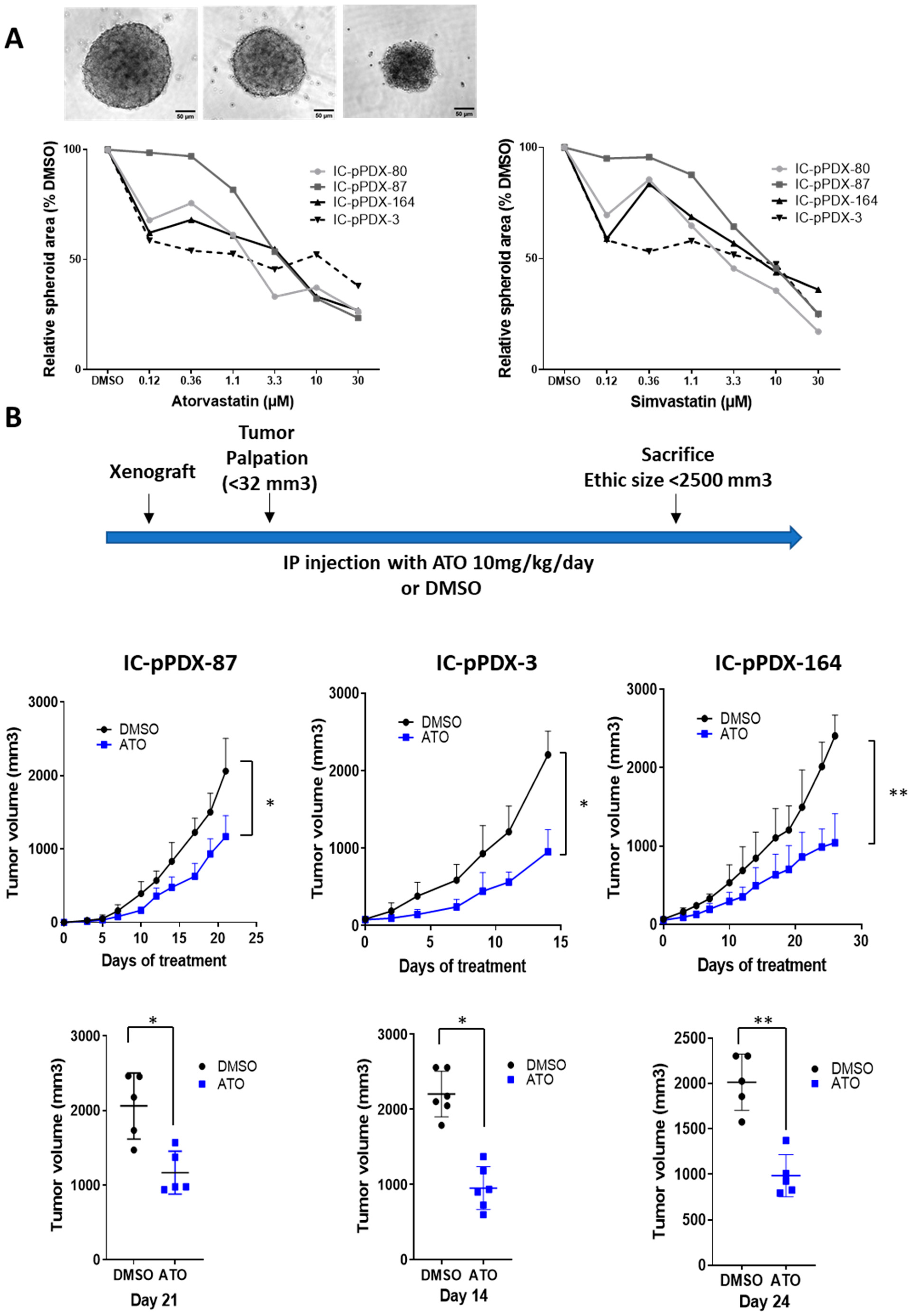 Cancers 14 02327 g006 550