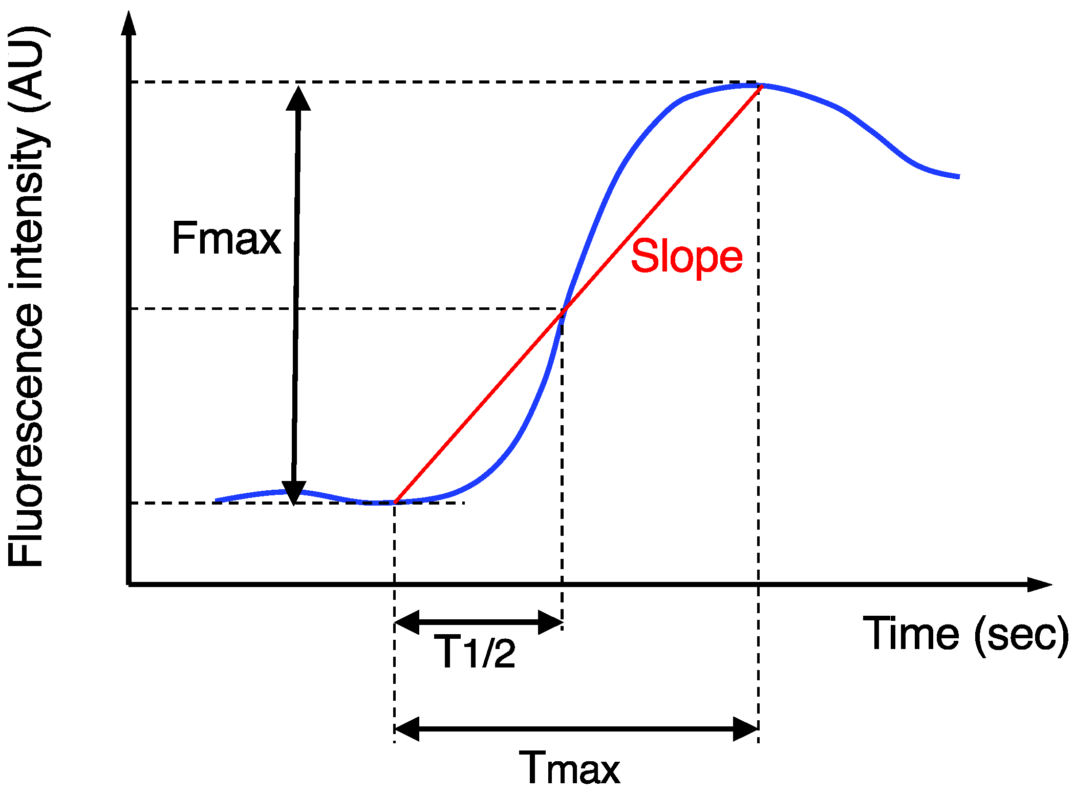 Cancers 14 02328 g001 550