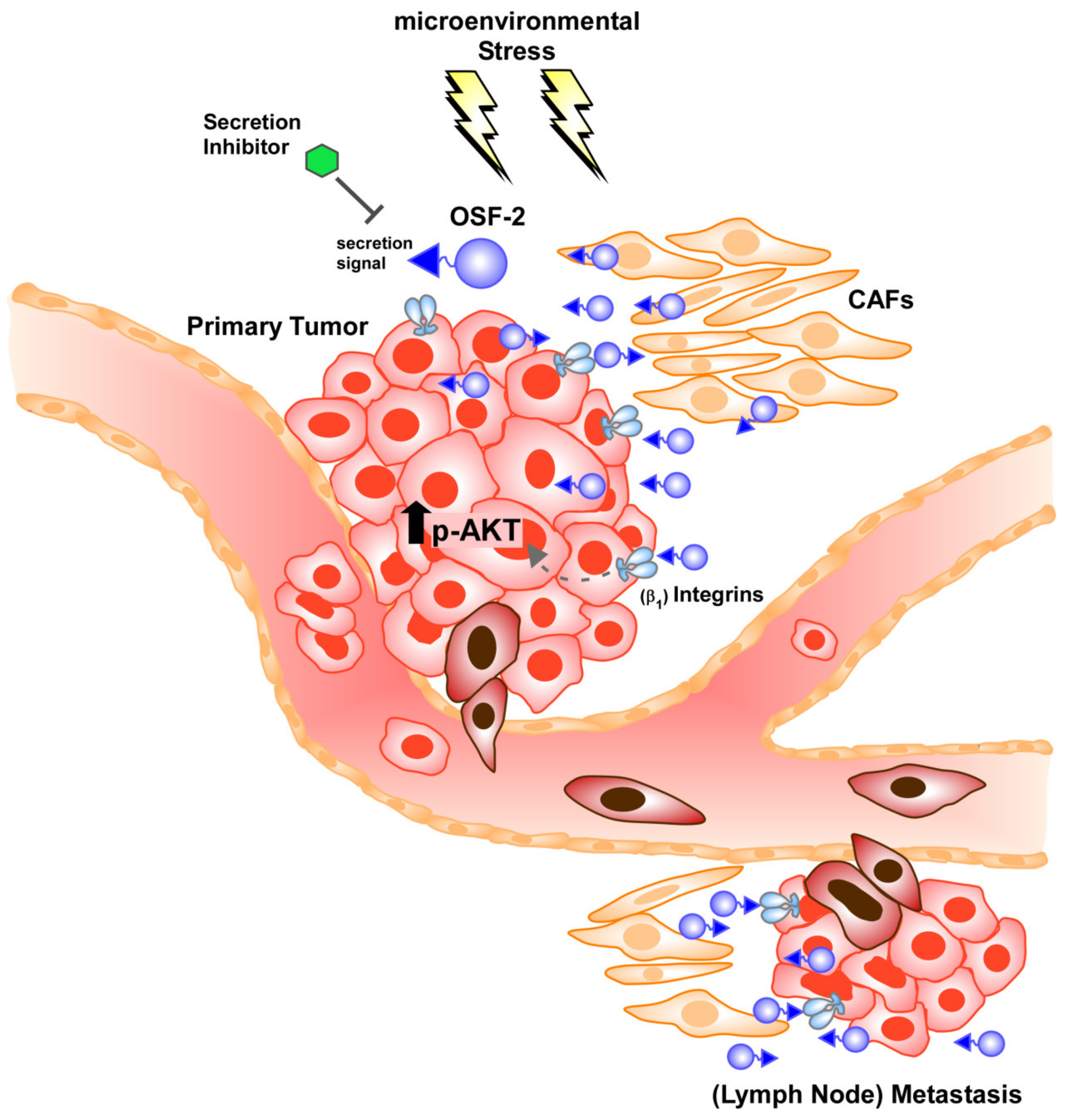 Cancers 14 02337 g009 Cancers 14 02337 g009