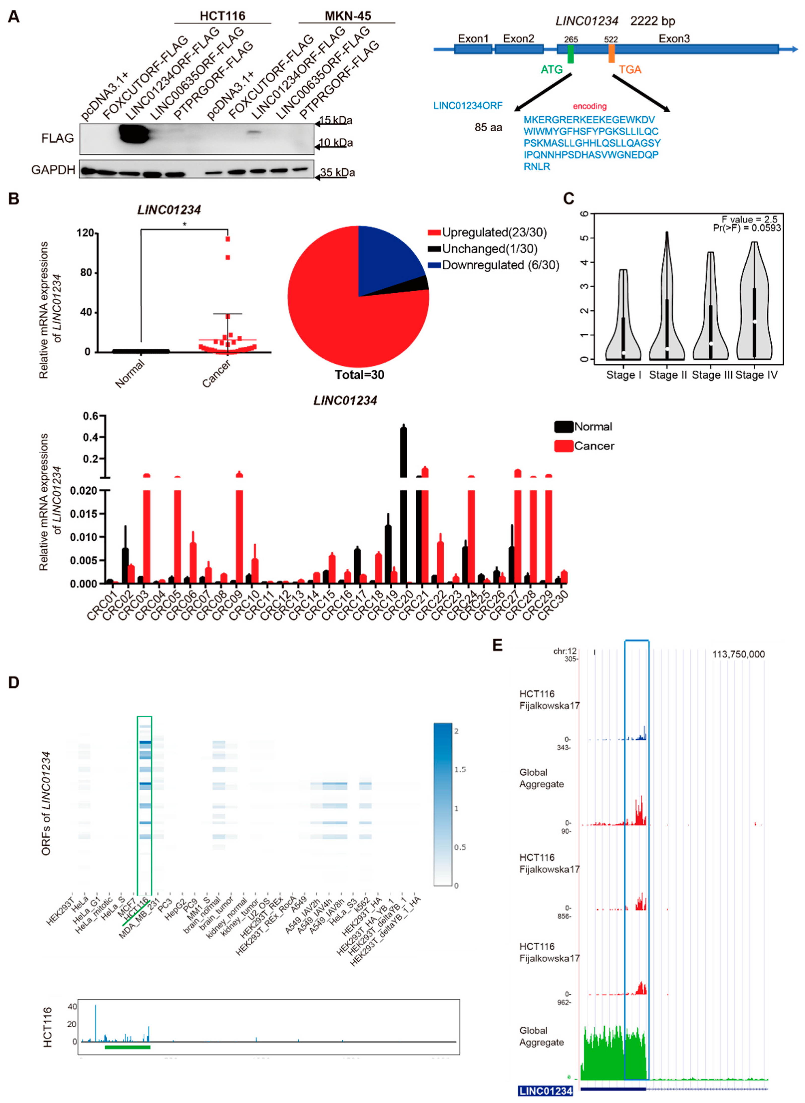 Cancers 14 02338 g001