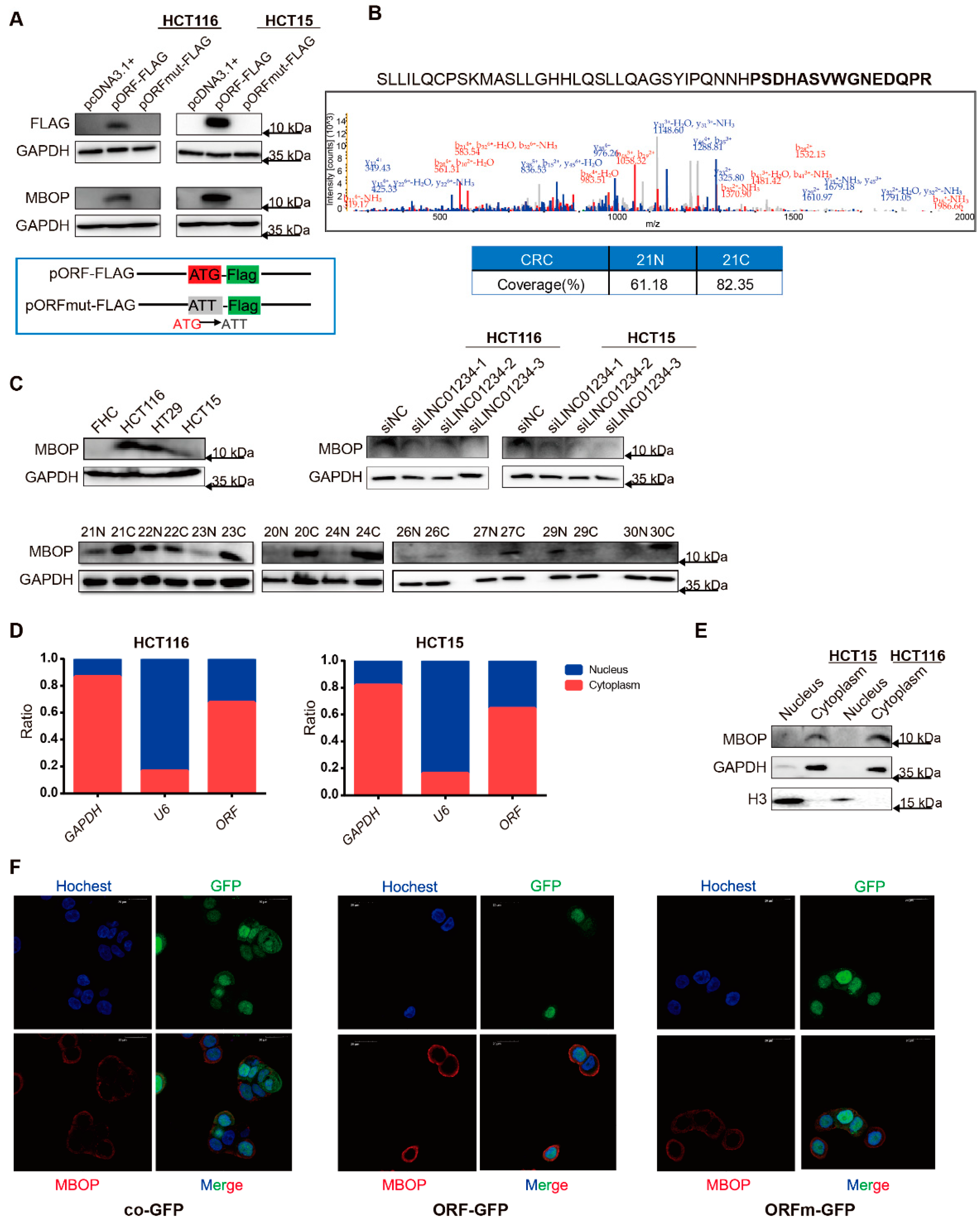 Cancers 14 02338 g002