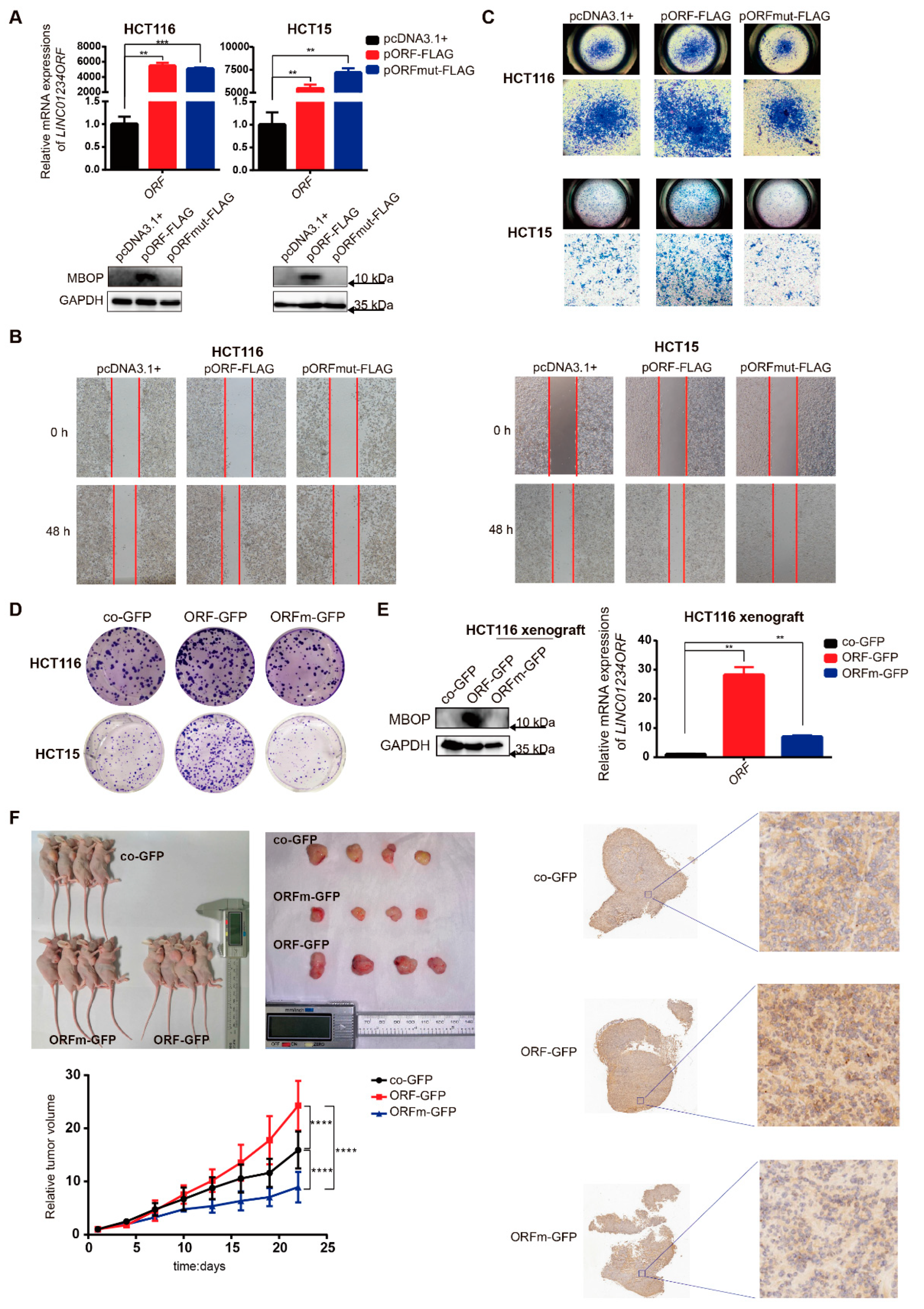 Cancers 14 02338 g003