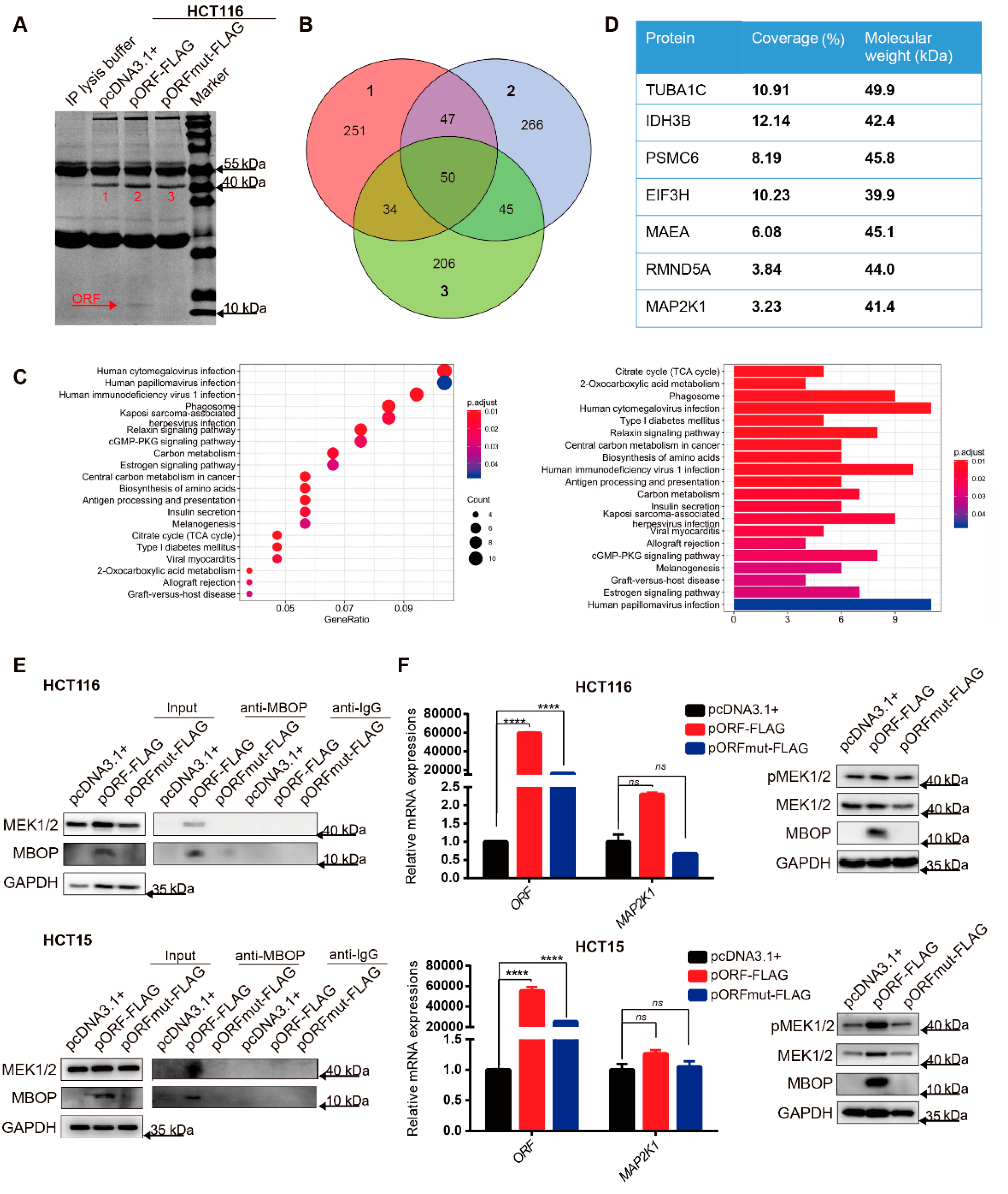 Cancers 14 02338 g004