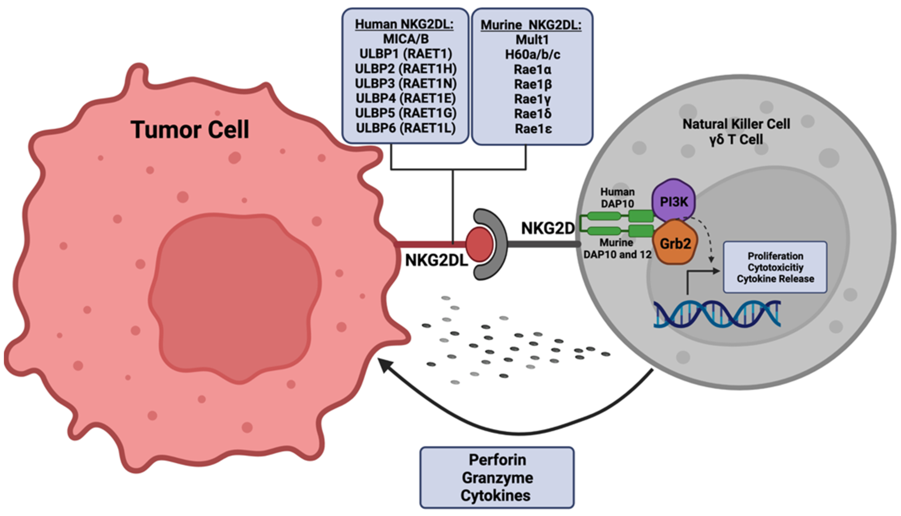 Cancers 14 02339 g001 Cancers 14 02339 g001