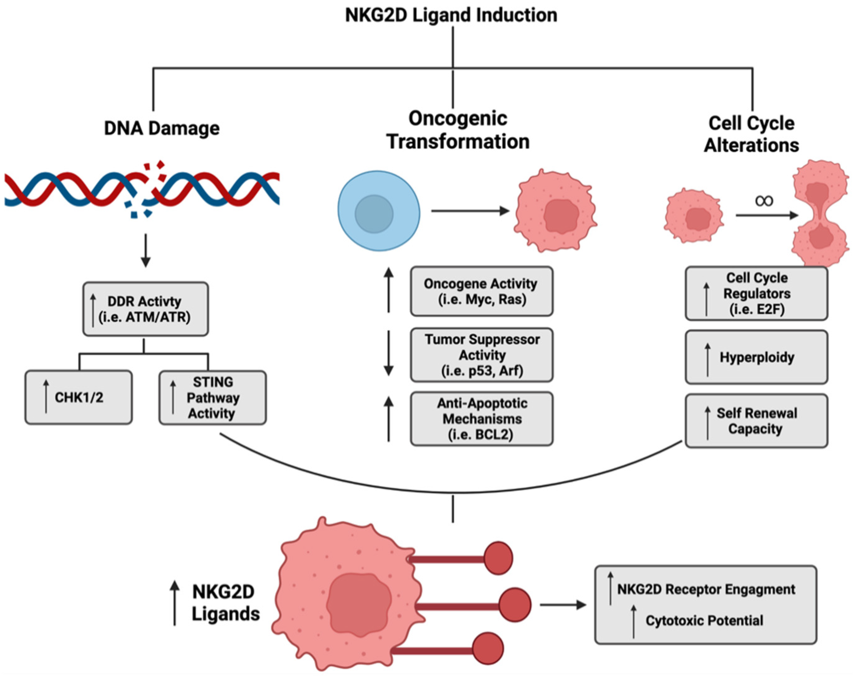 Cancers 14 02339 g002 Cancers 14 02339 g002