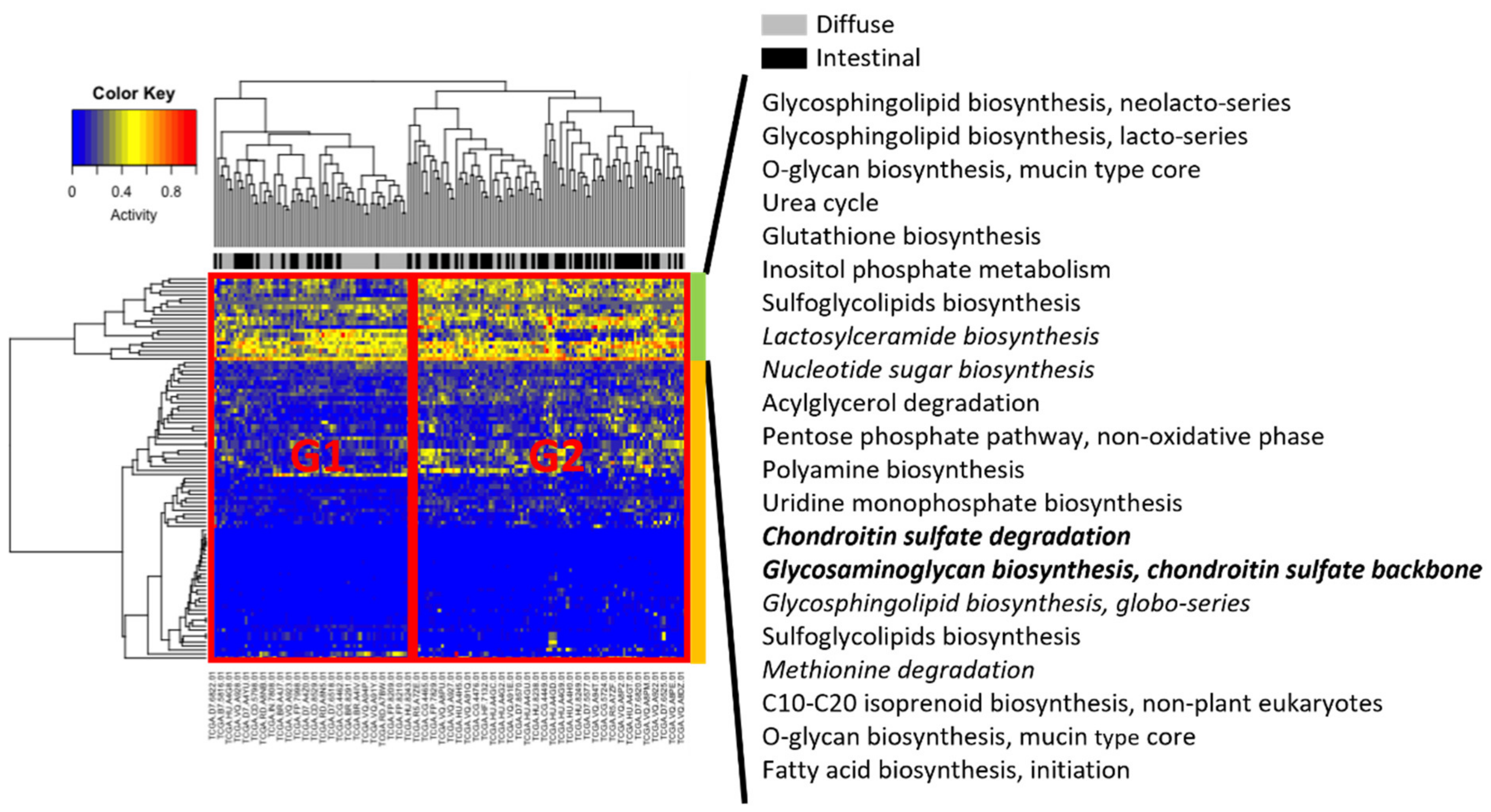 Cancers 14 02340 g004 550