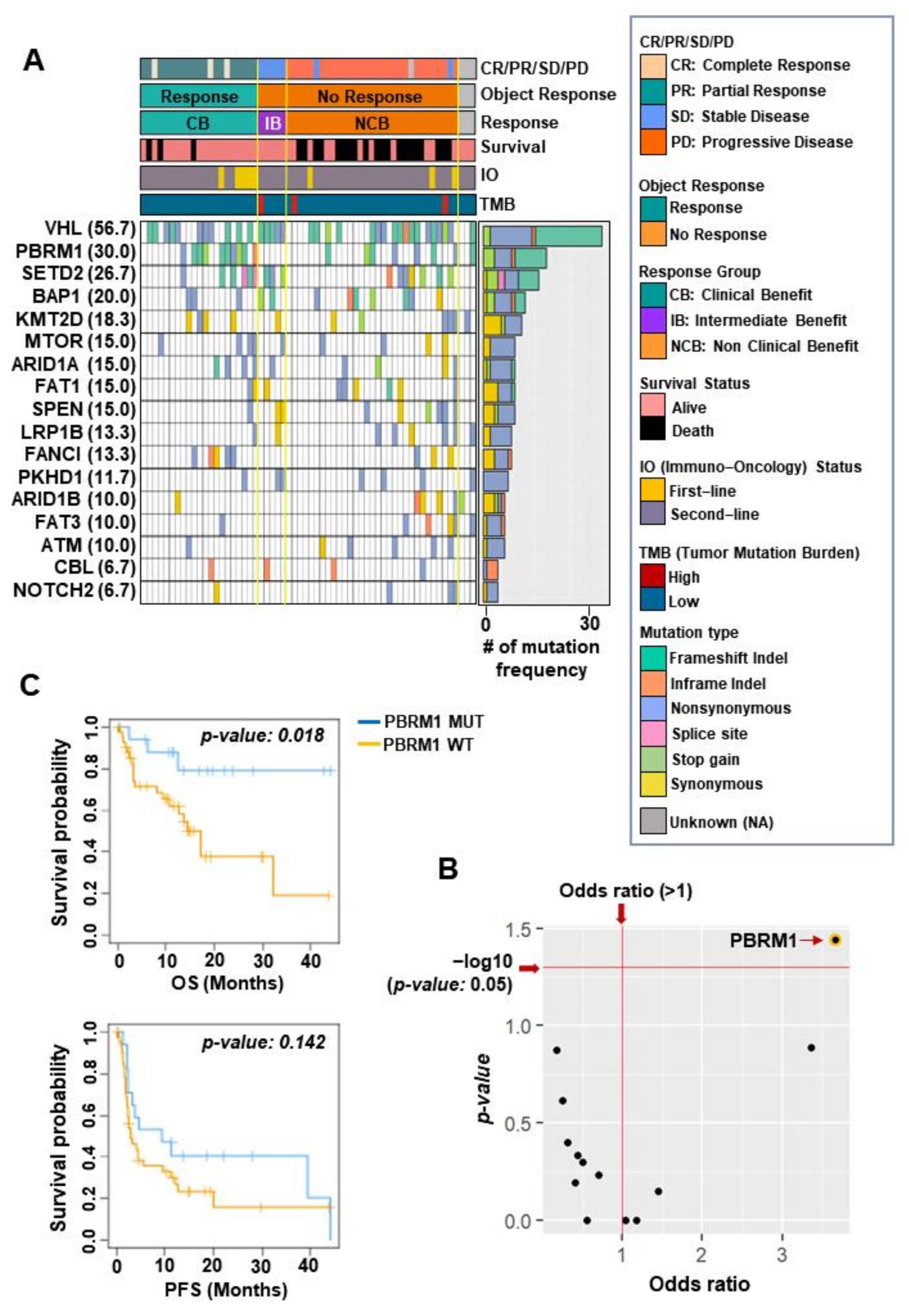 Cancers 14 02354 g001