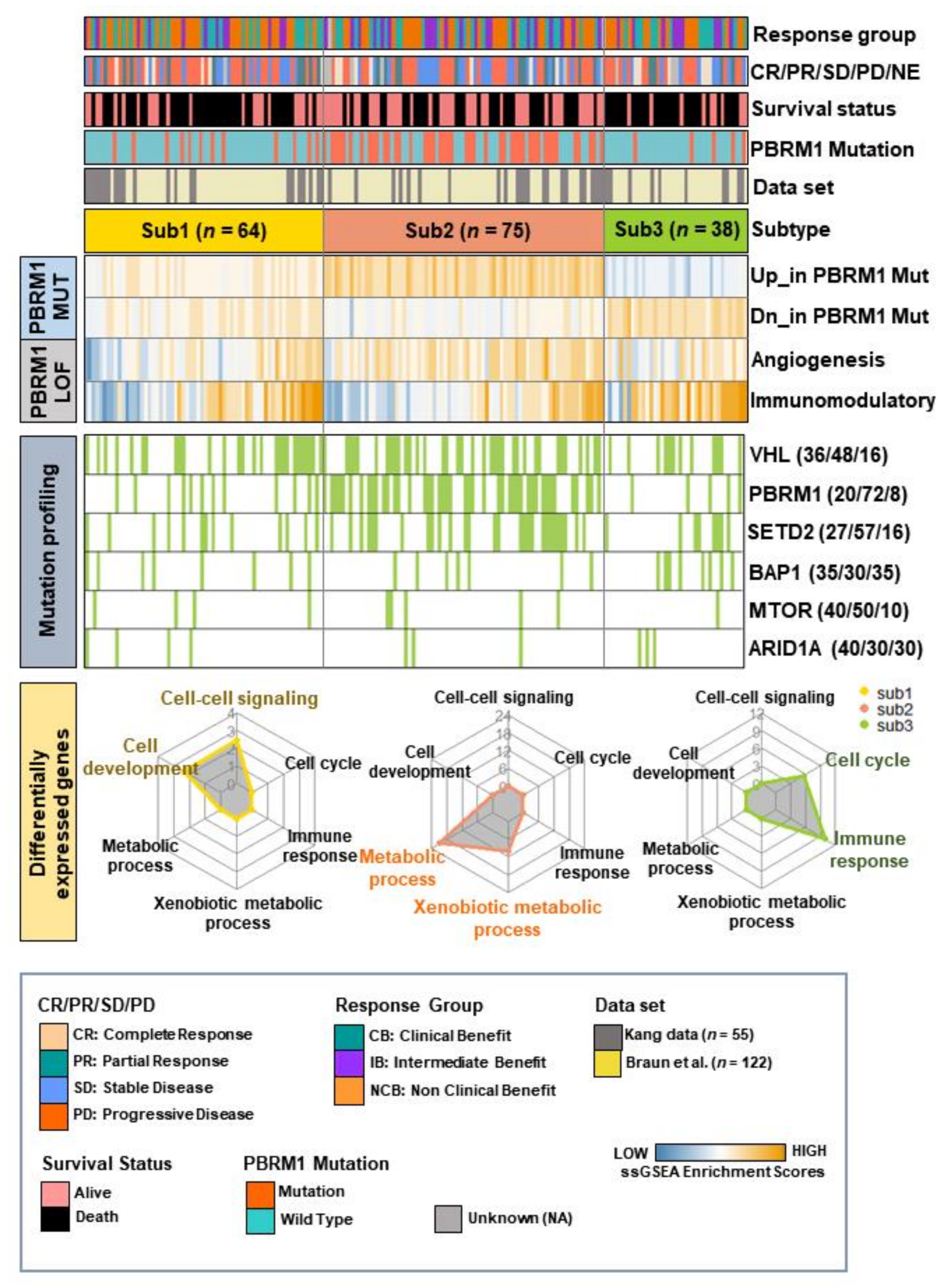 Cancers 14 02354 g002