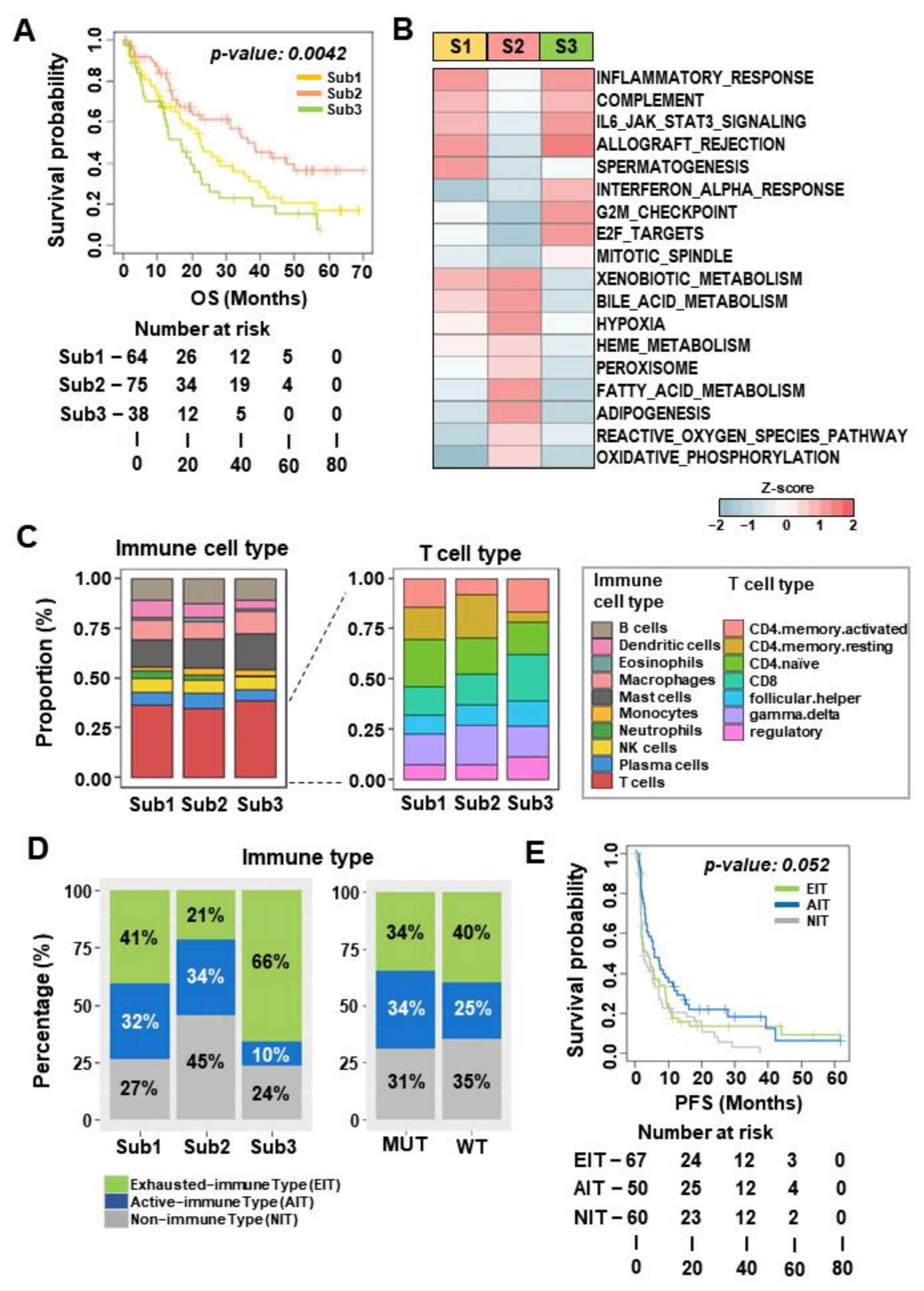 Cancers 14 02354 g003