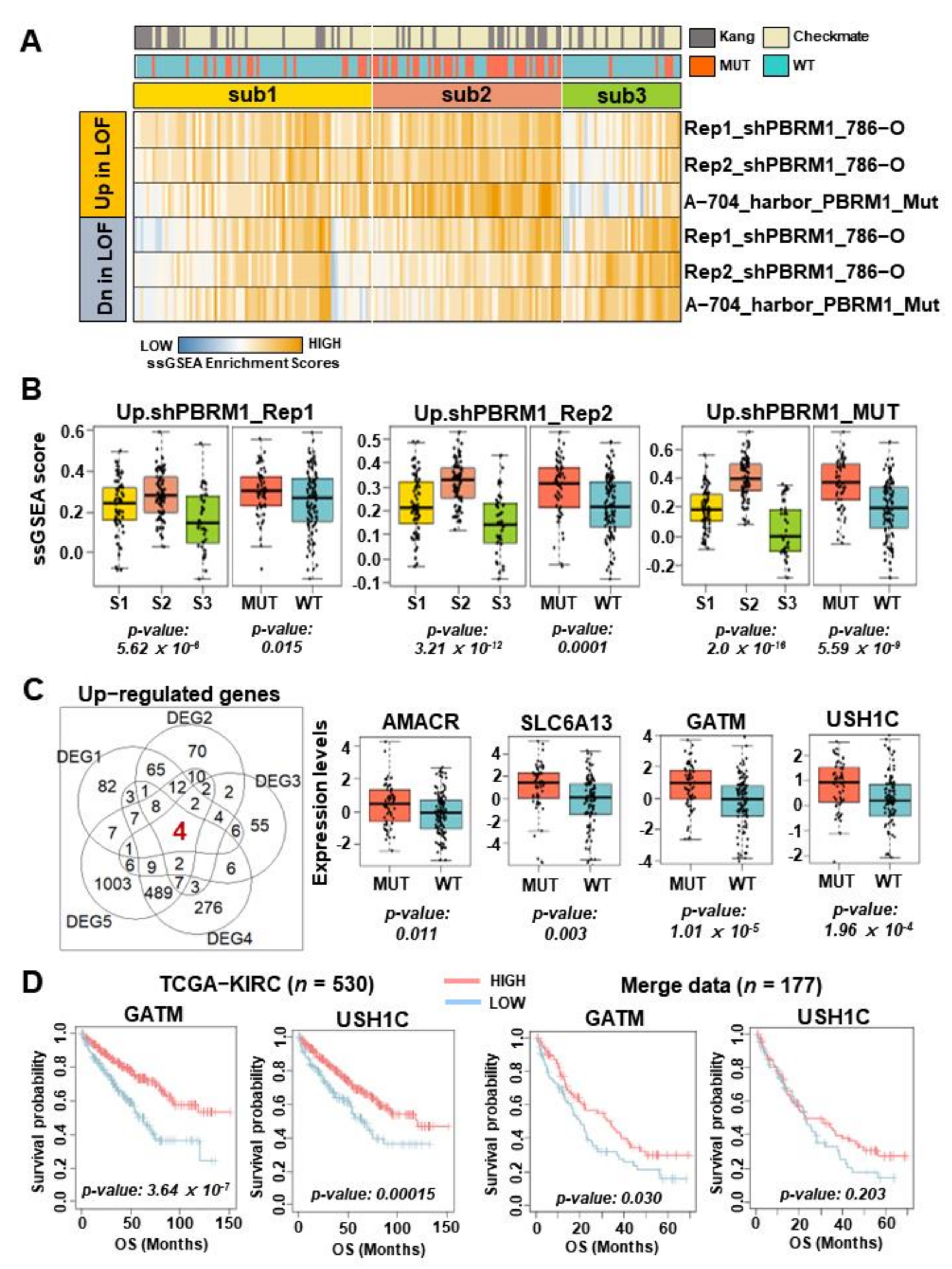 Cancers 14 02354 g004