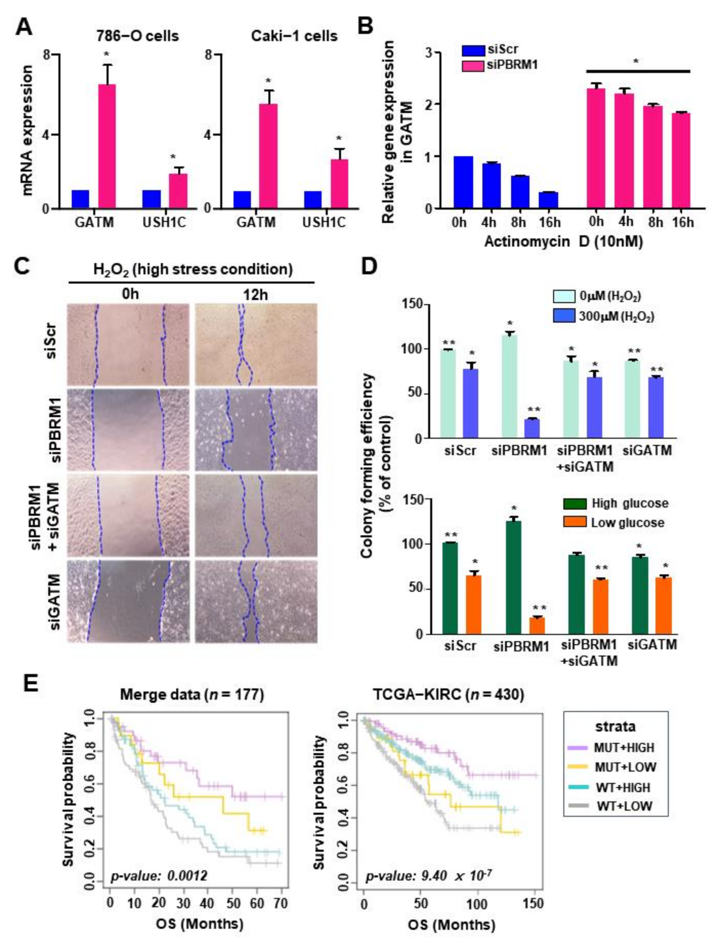 Cancers 14 02354 g006