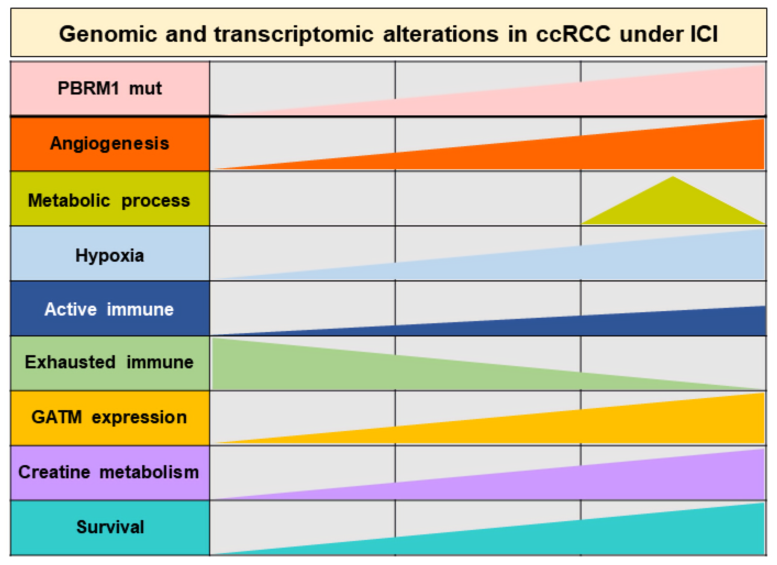 Cancers 14 02354 g007