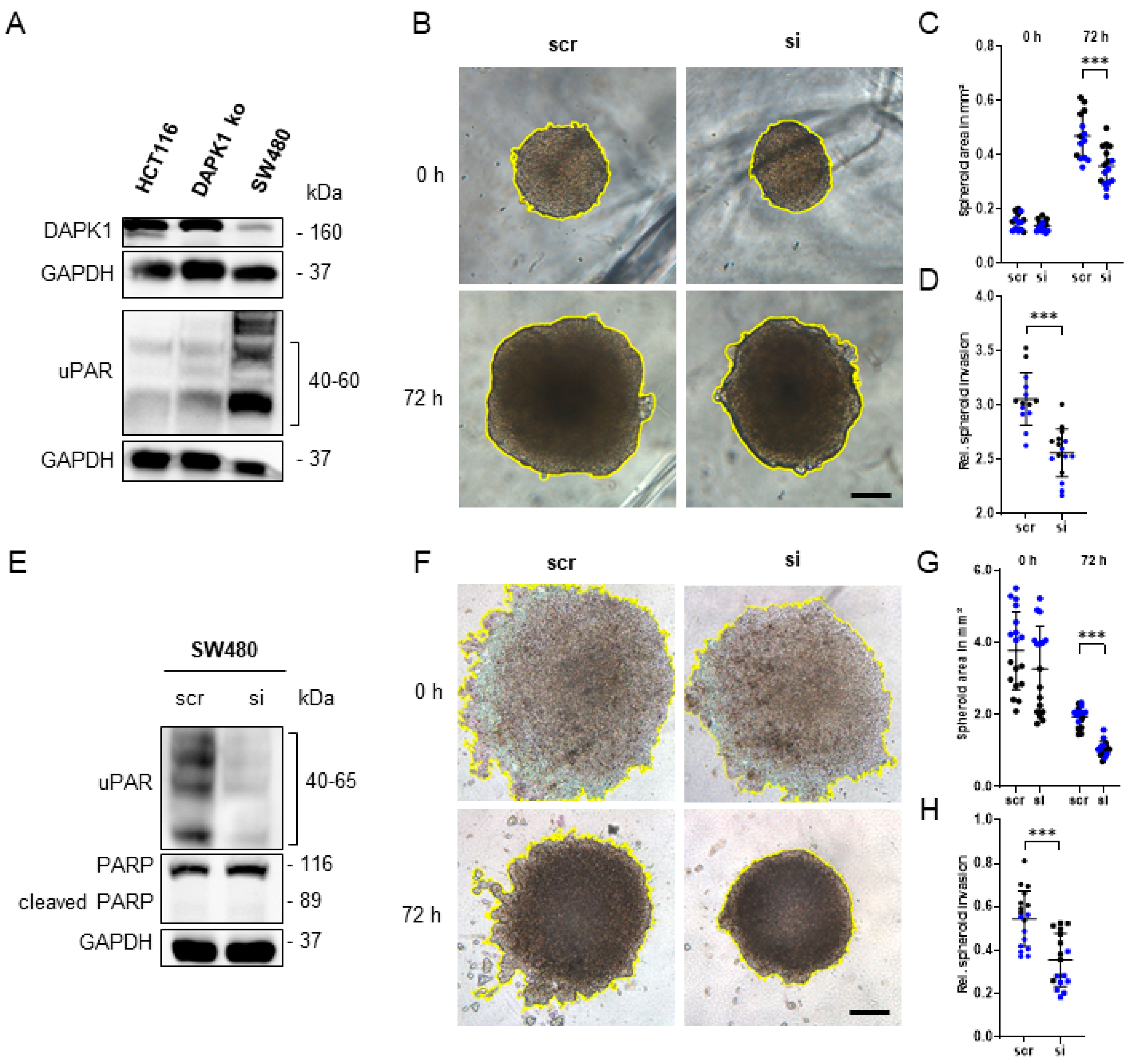 Cancers 14 02364 g005