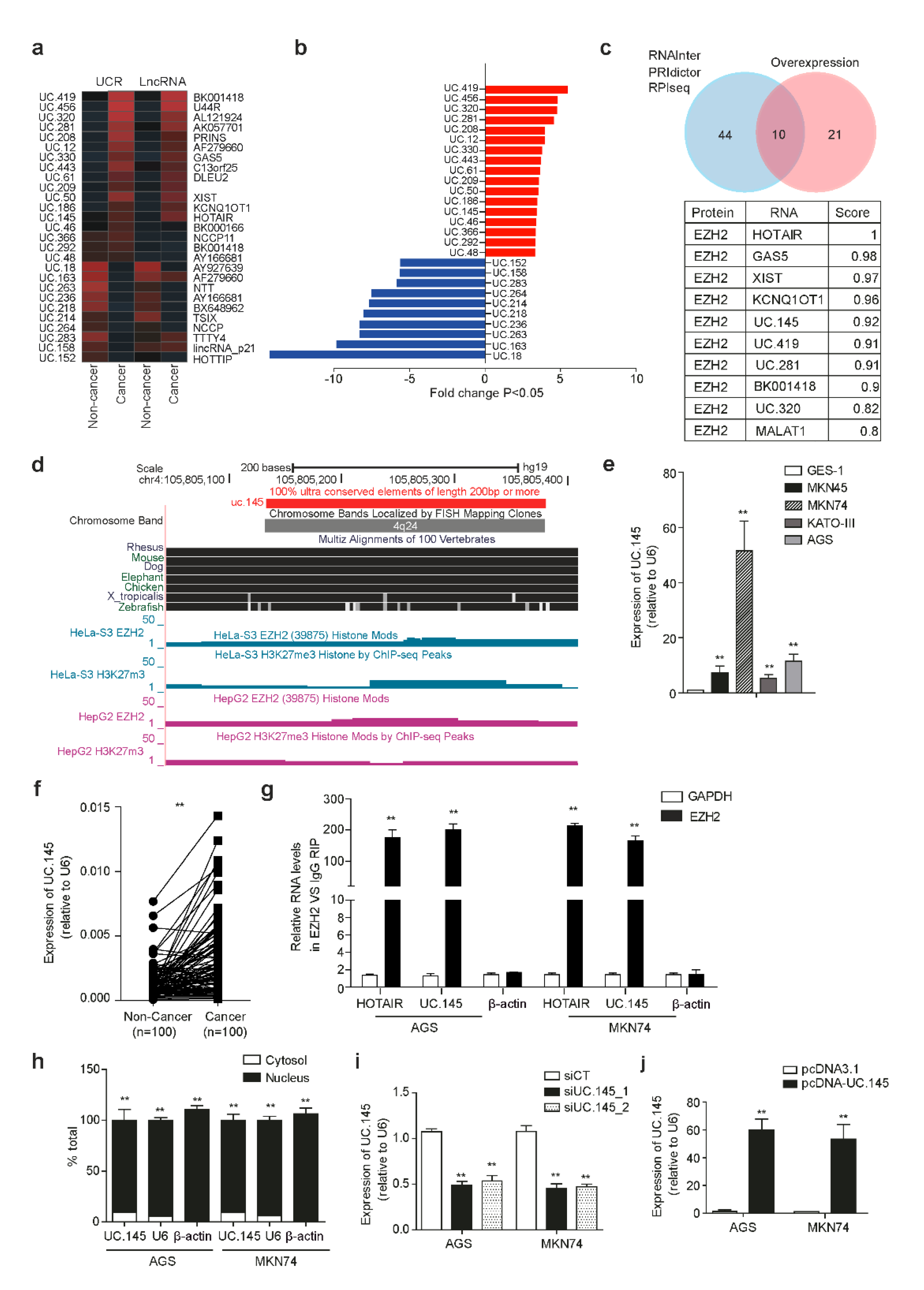 Cancers 14 02369 g001