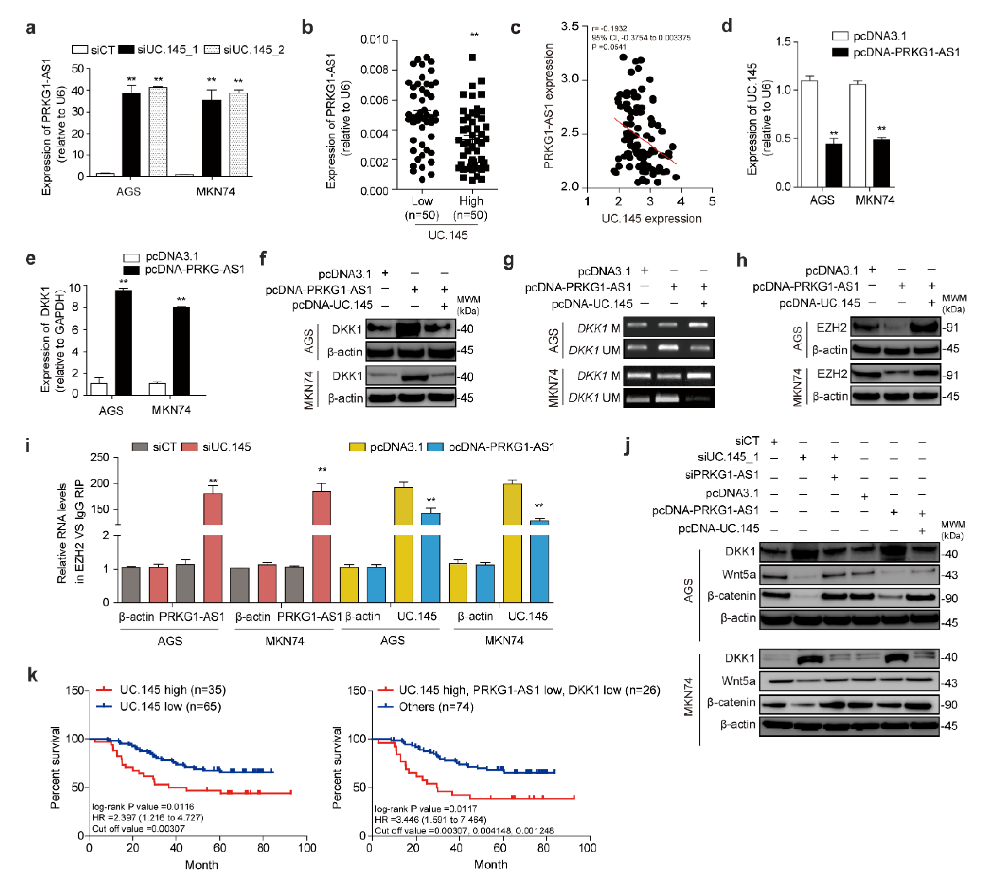 Cancers 14 02369 g005