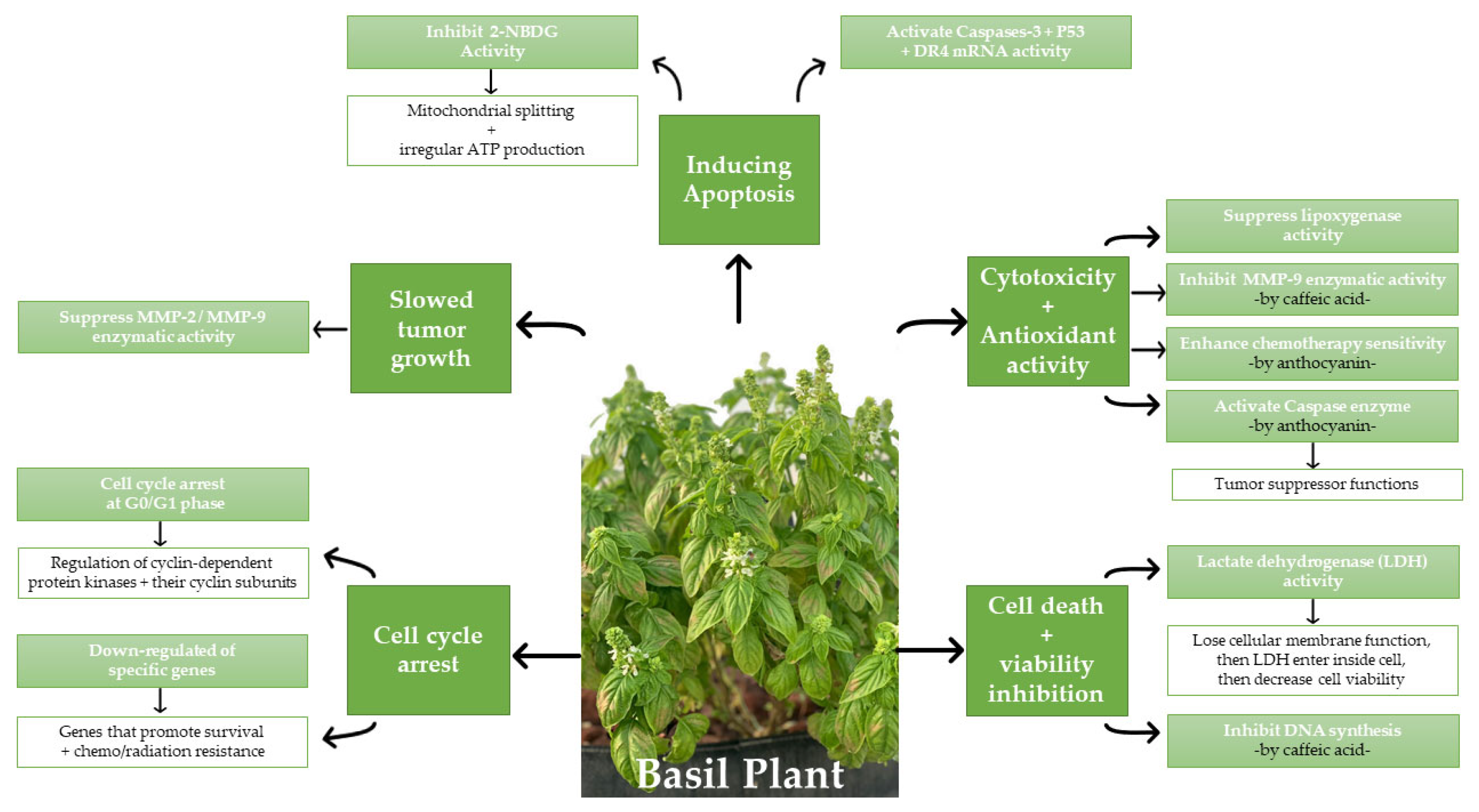 Cancers 14 02375 g001